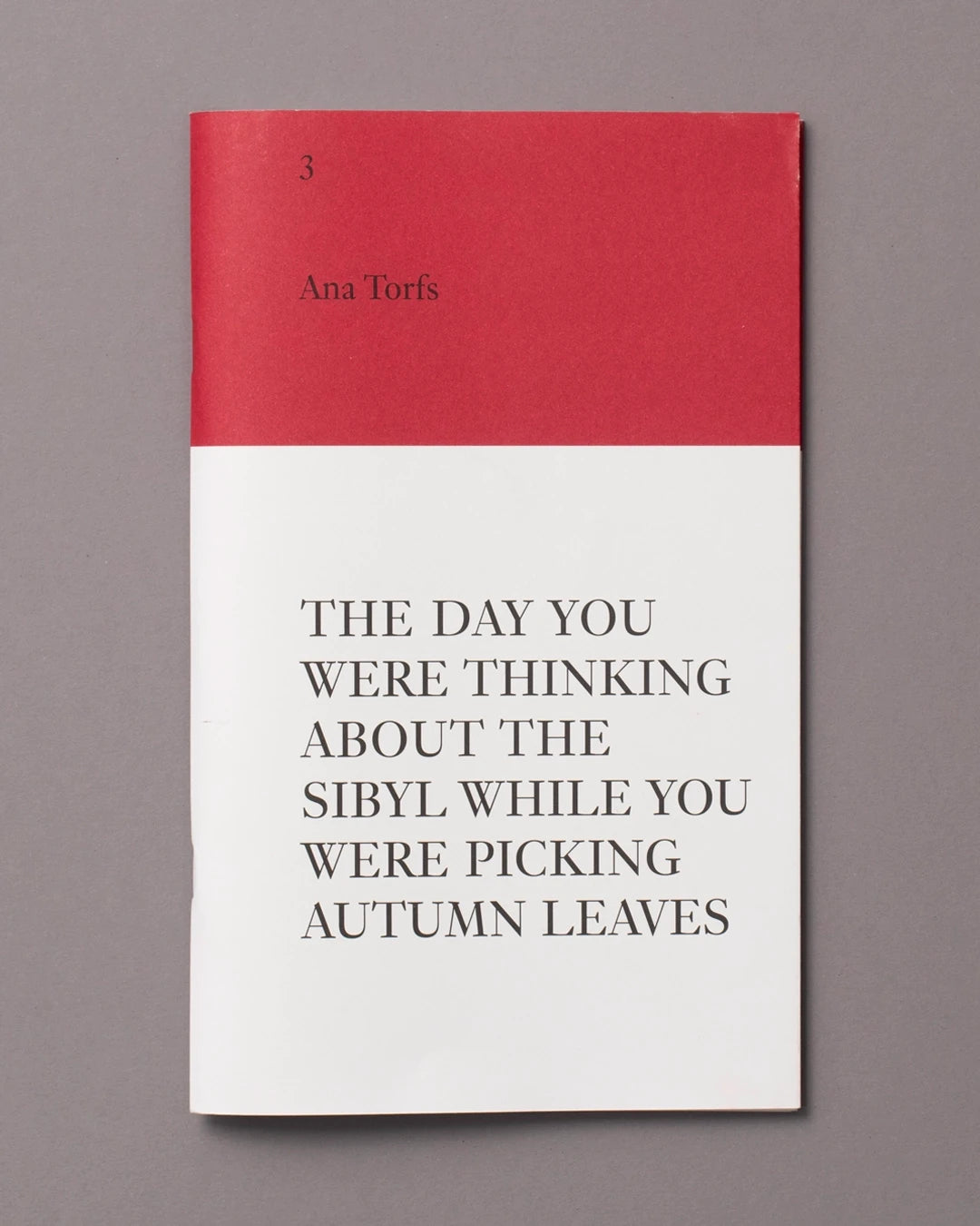 An Insert by Ana Torfs The Day You Were Thinking About the Sibyl While You Were Picking Autumn Leaves