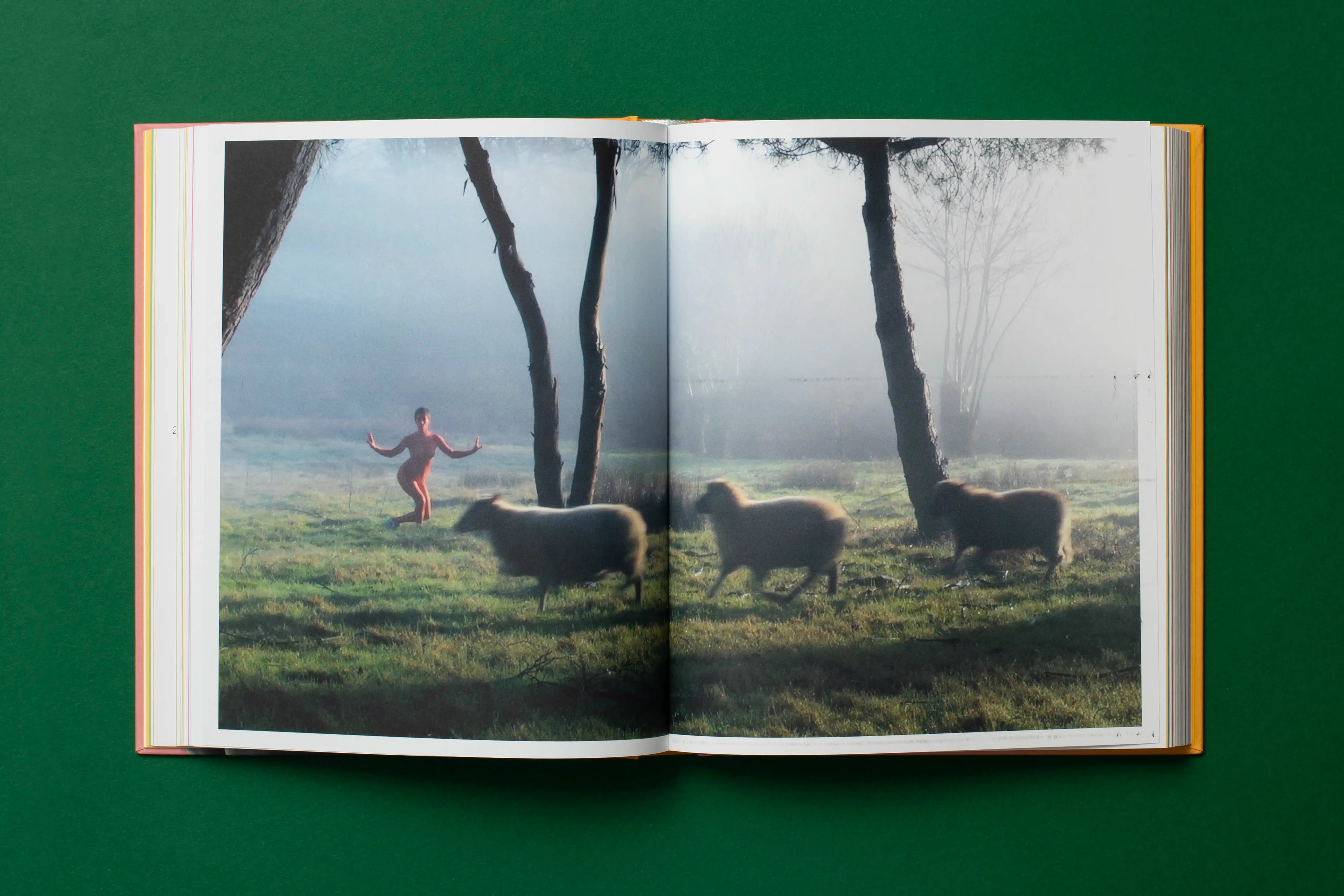 Animalia. Of Animals and Humans - Heidi Horten Collection