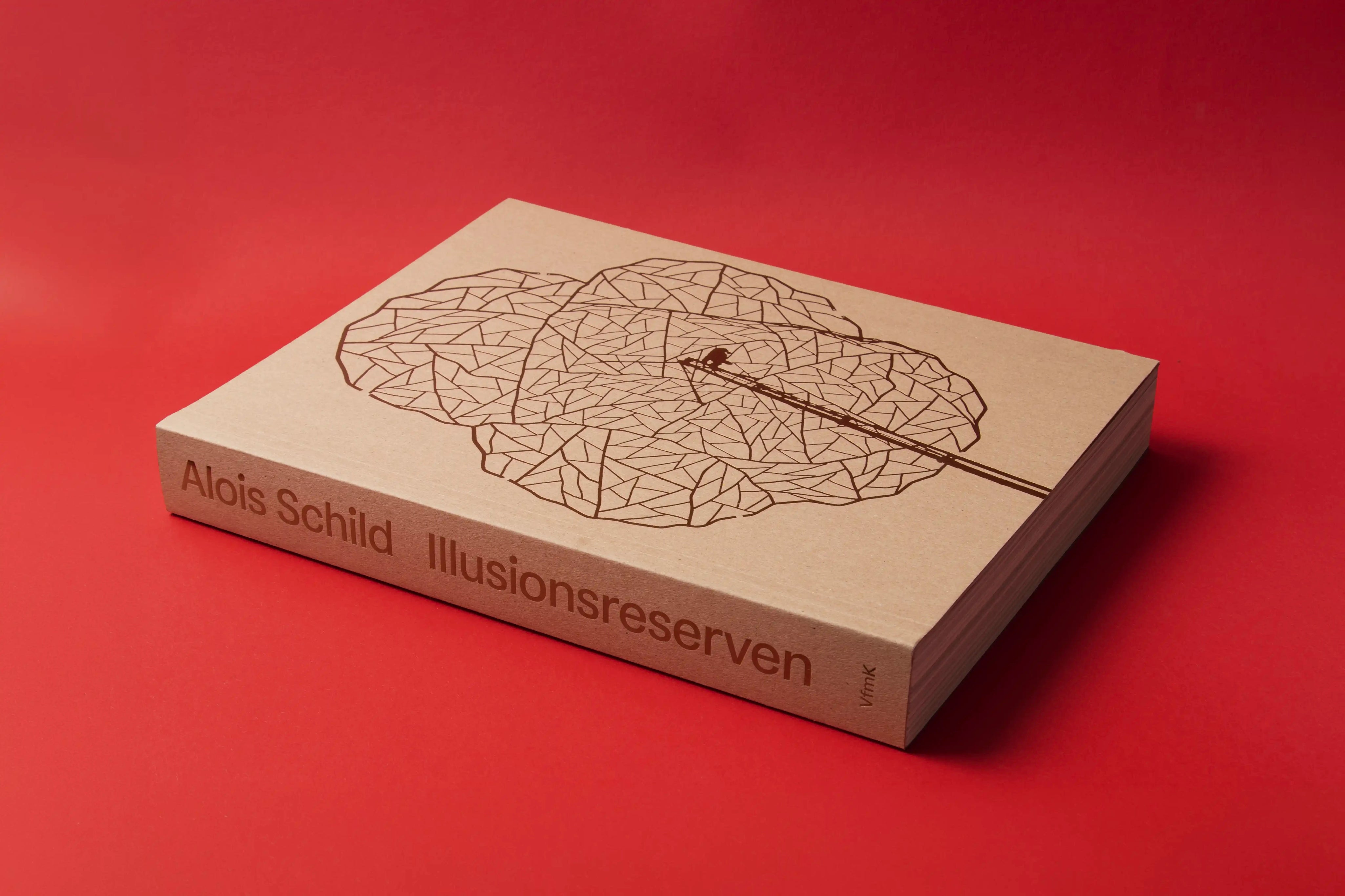 Alois Schild - Illusionsreserven / Illusion Reserves