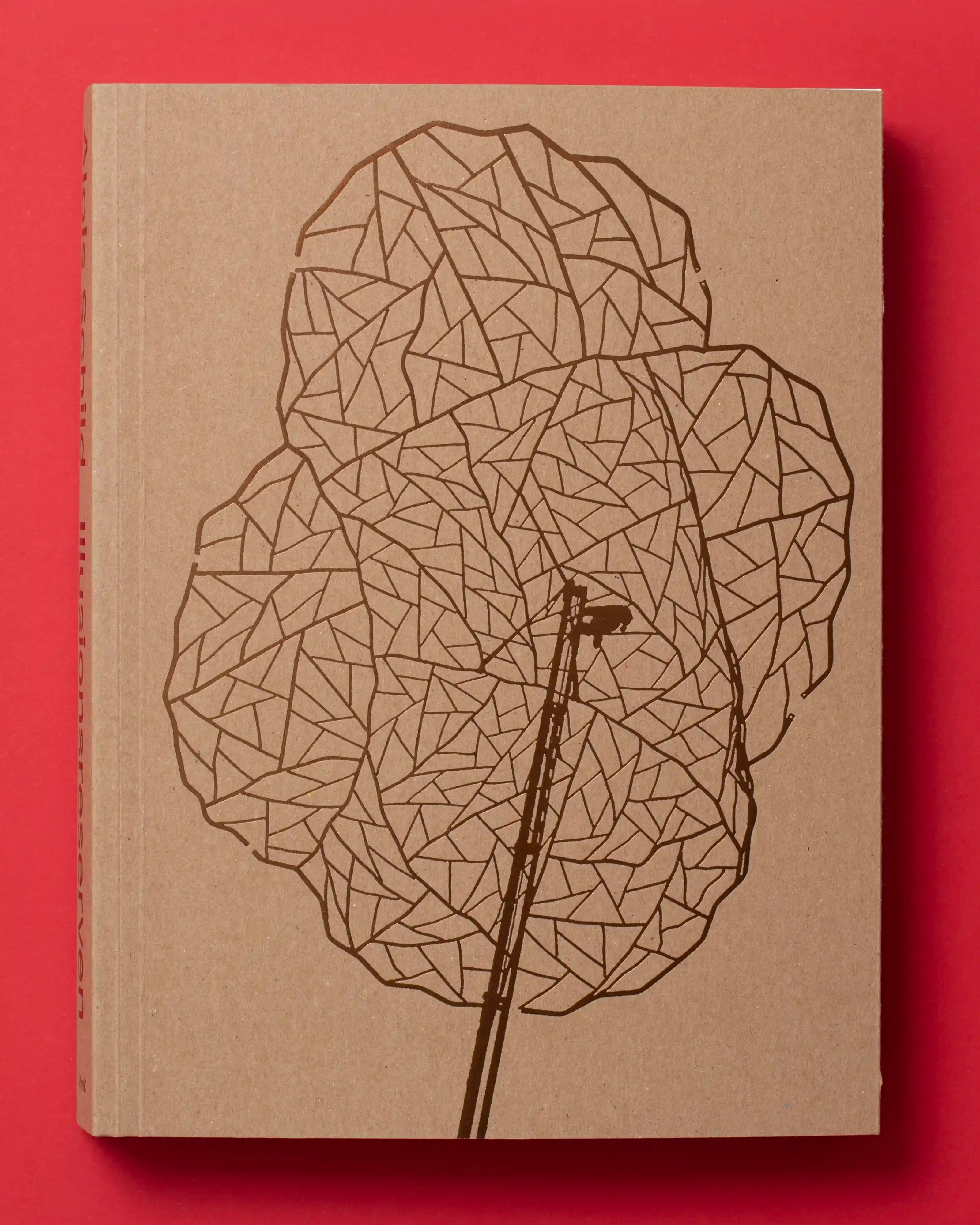 Illusionsreserven-Cover.webp
