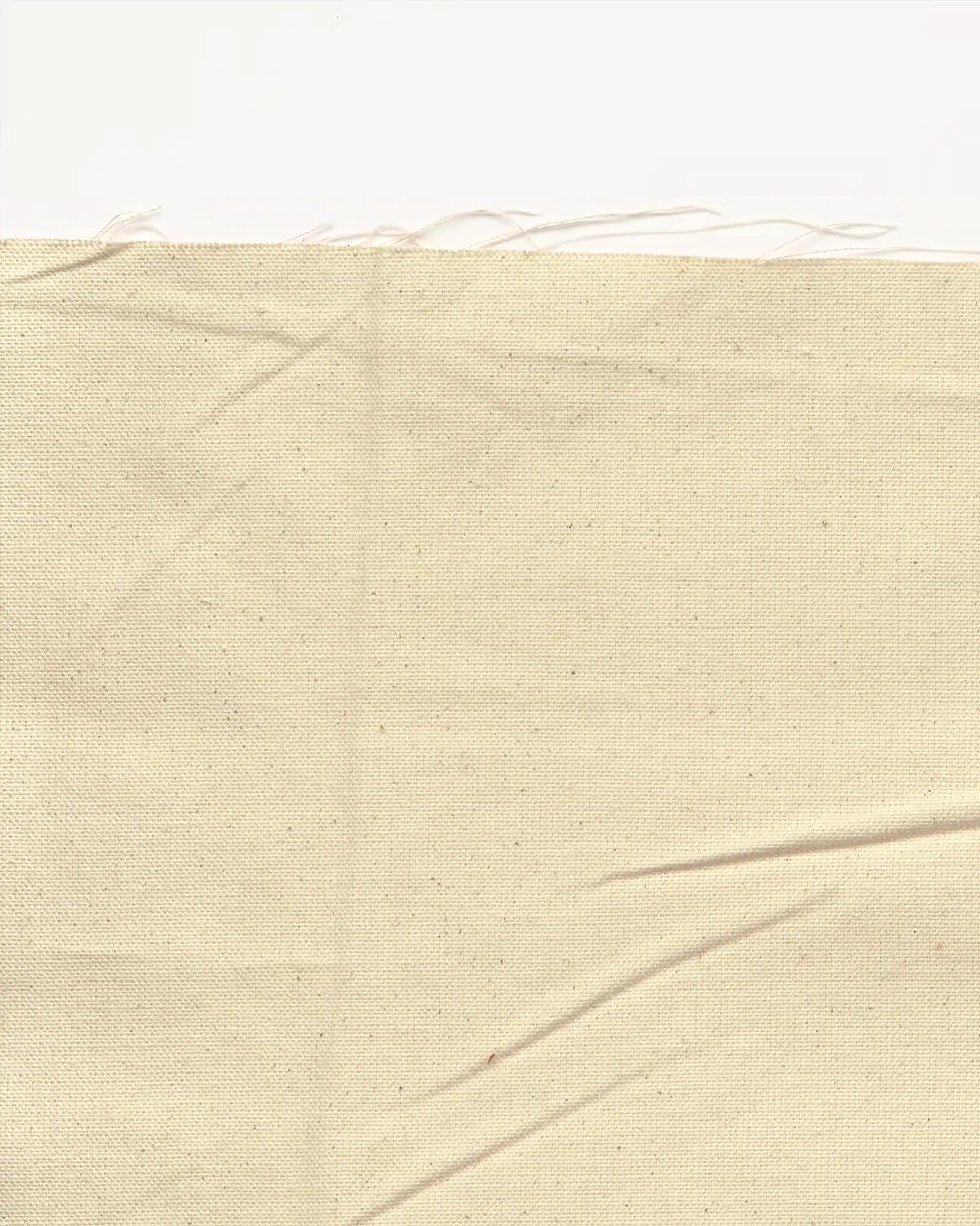 VFMK_Anita_Stoehr_Weber_BACKCOVER.webp