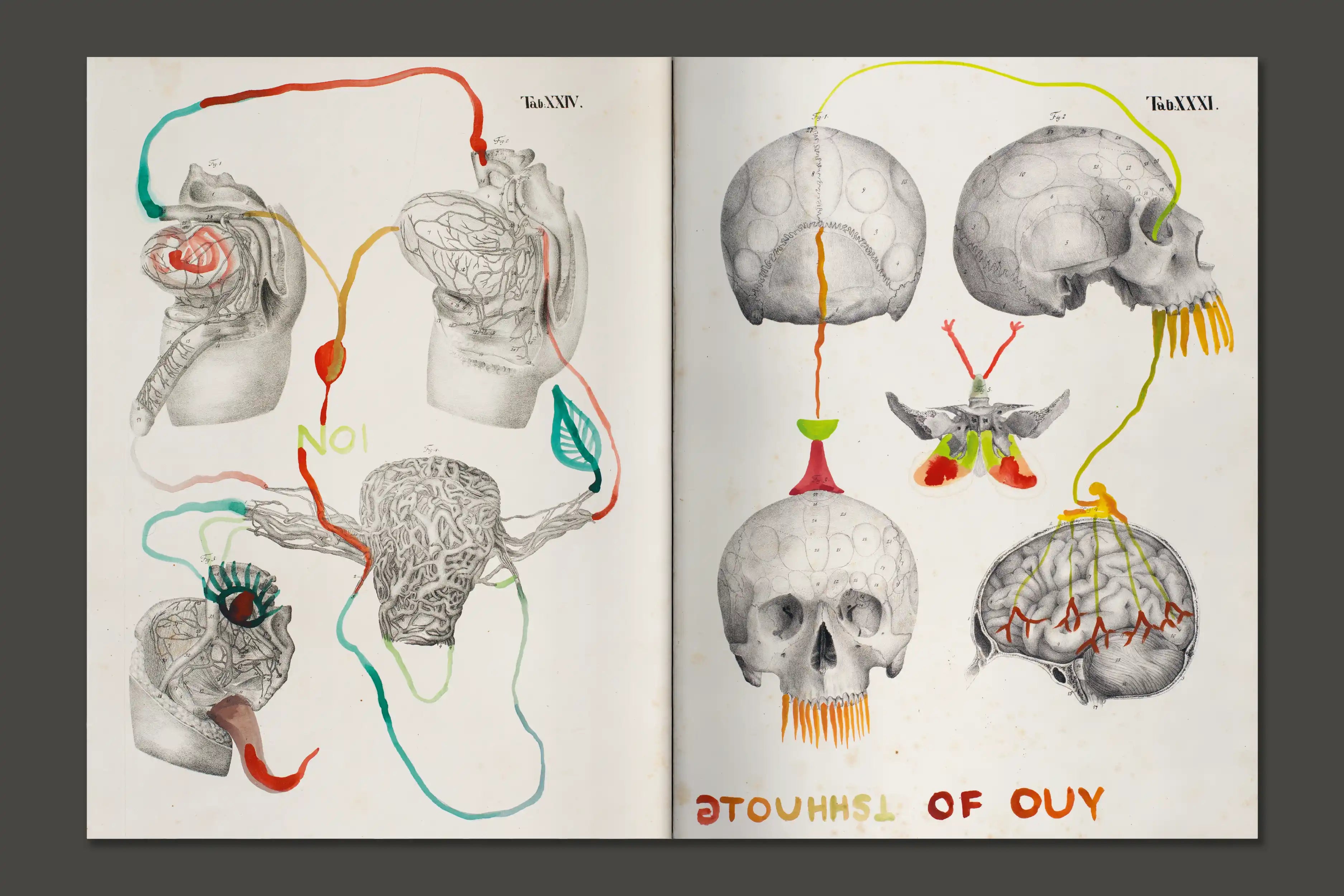 Nives Widauer. Body Talk