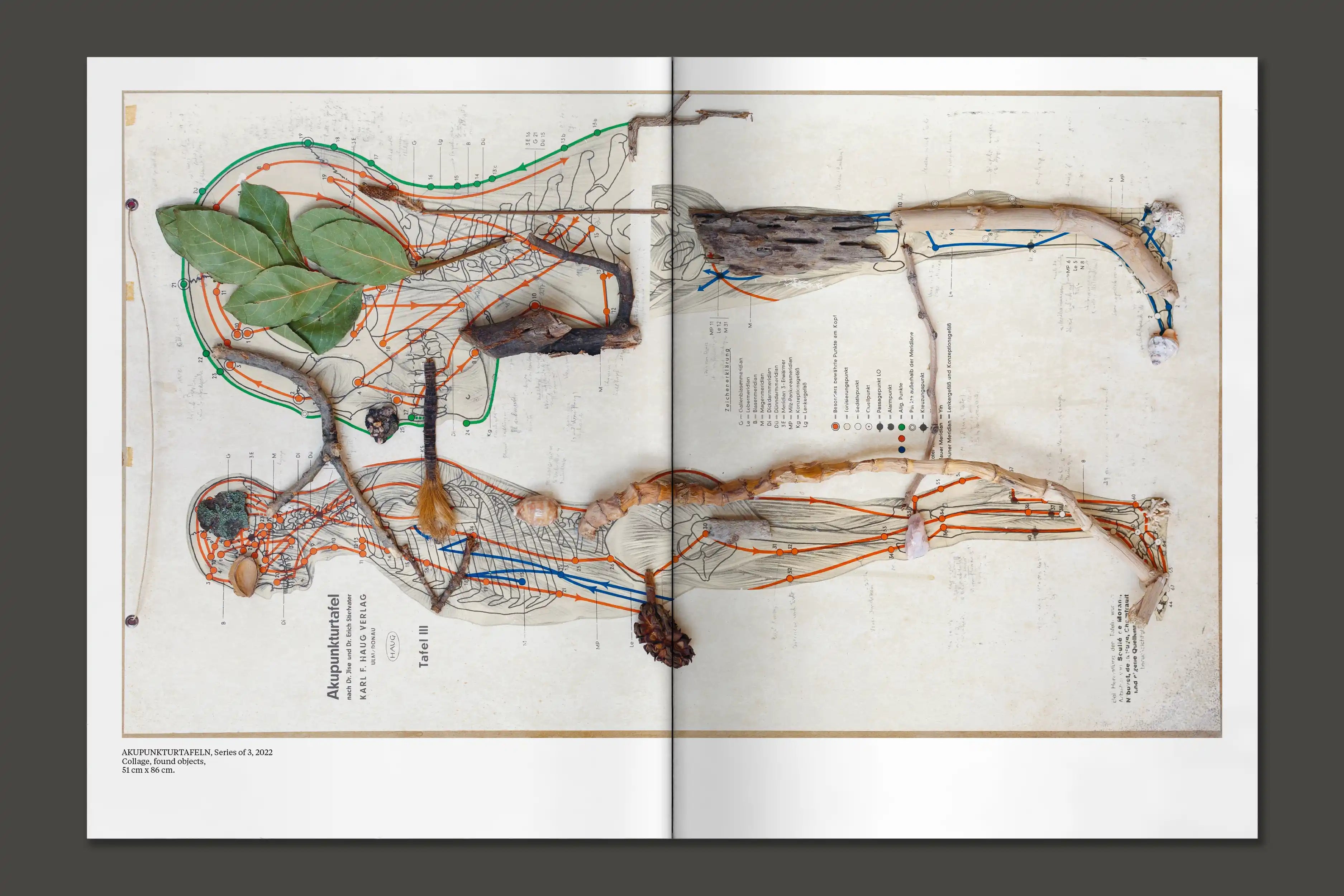 Nives Widauer. Body Talk