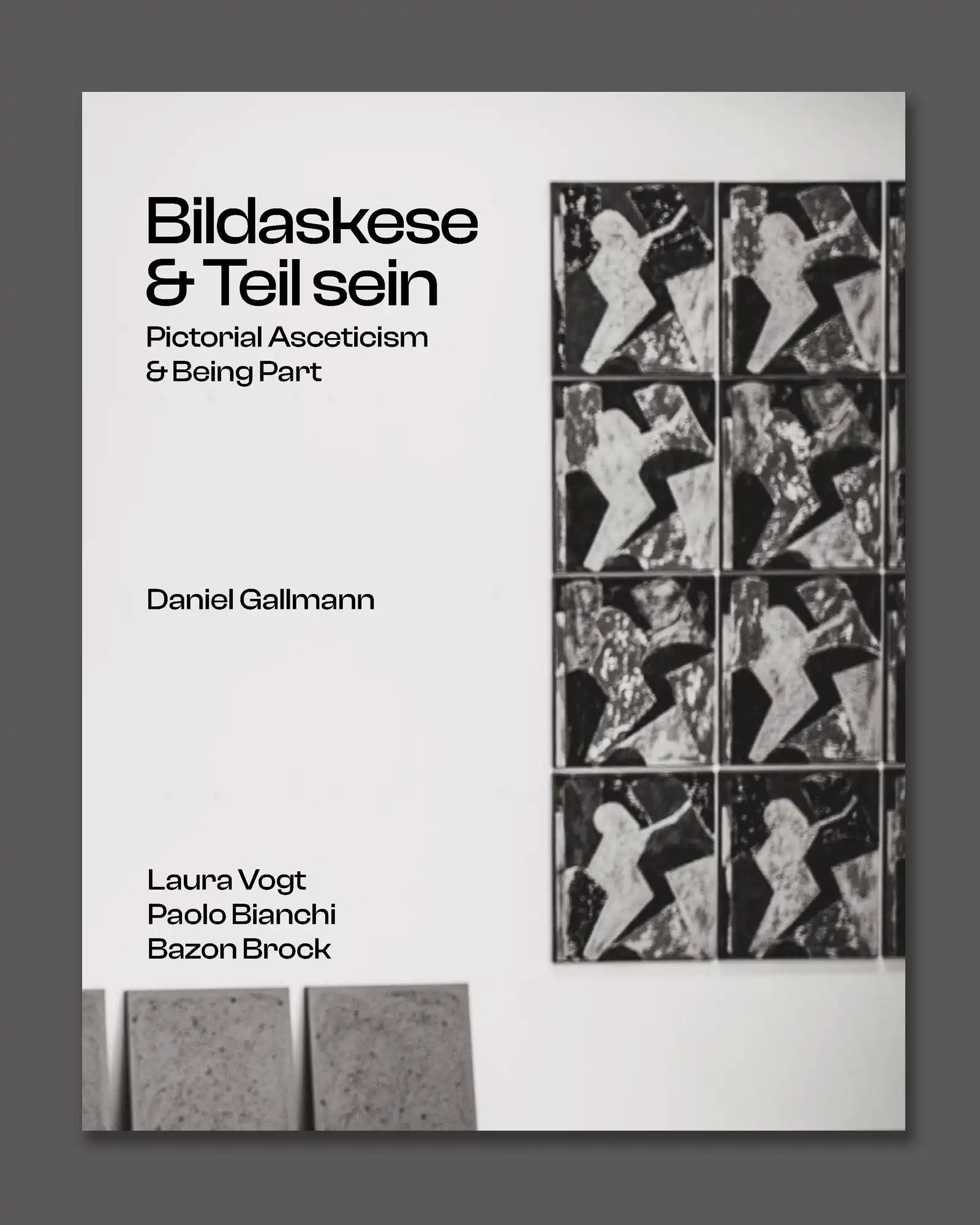 VFMK_Daniel_Gallmann_cover.webp
