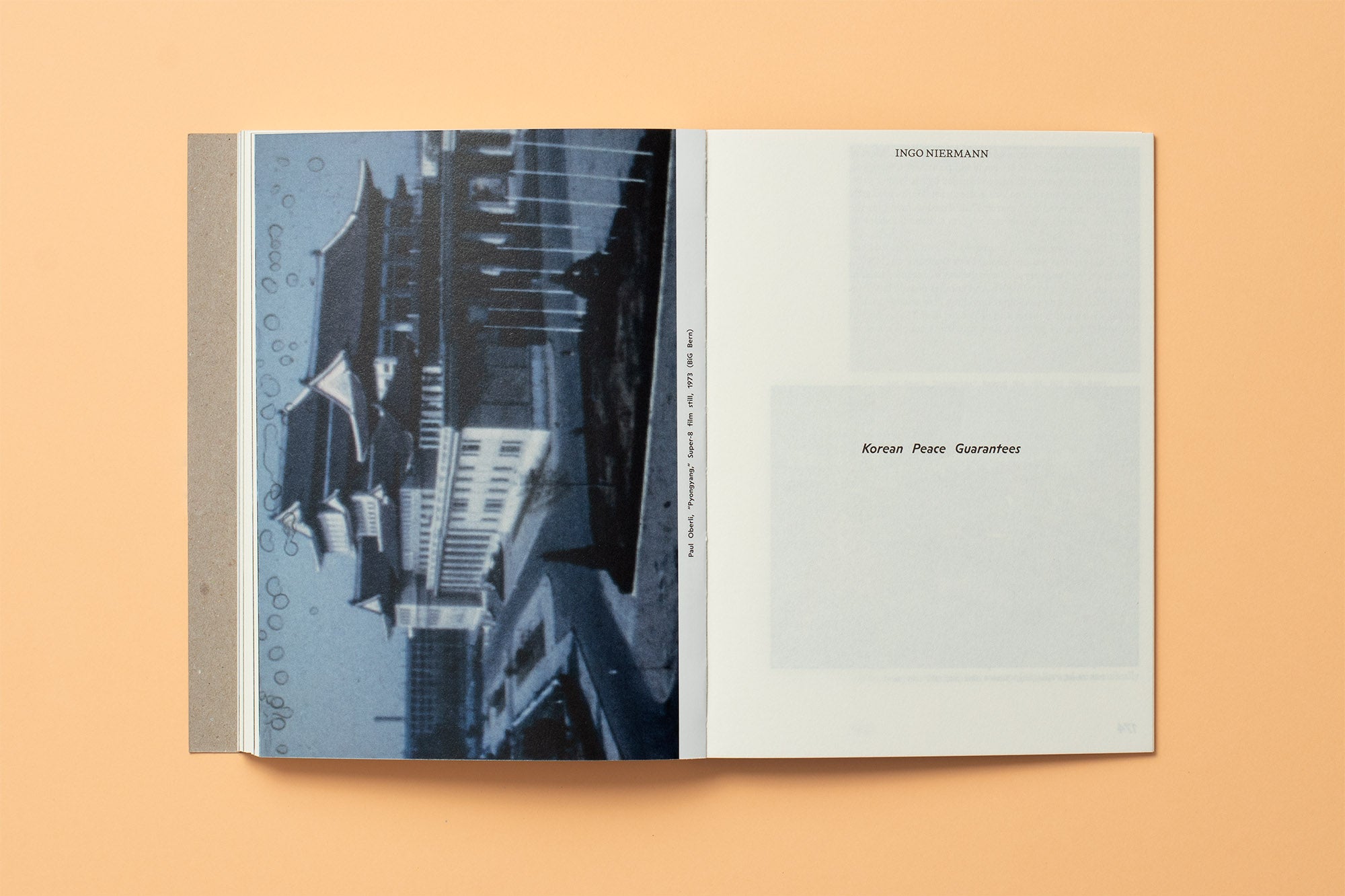 Denise Bertschi - State Fictions. Beyond Blossoms and Borders
