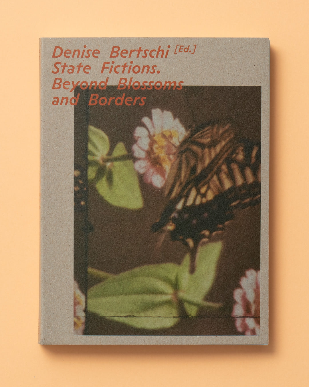 VFMK_Denise_Bertschi_-_State_Fictions__COVER_02_low.jpg