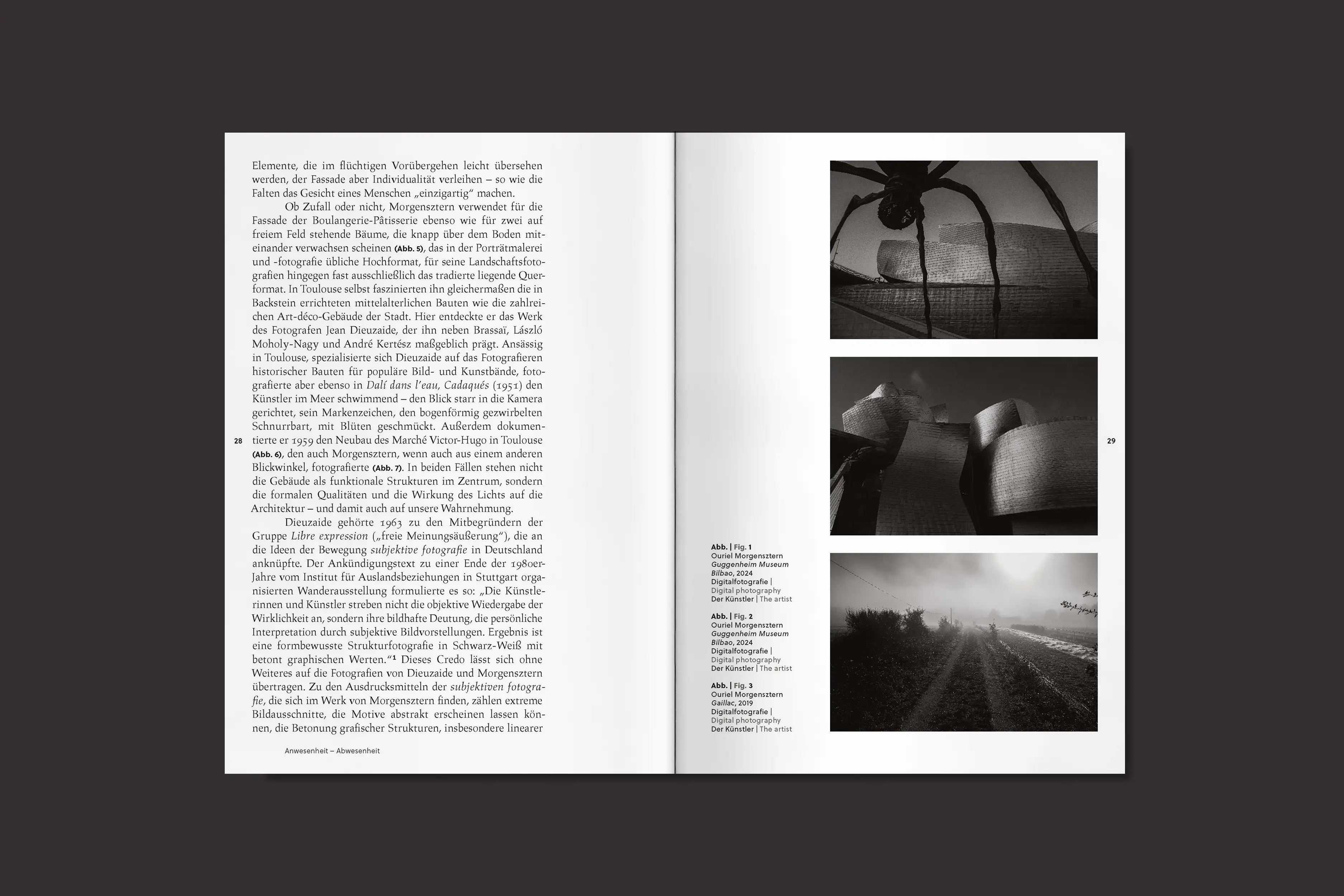 ORT – Ouriel Morgensztern Heidi Horten Collection, Intervention 2