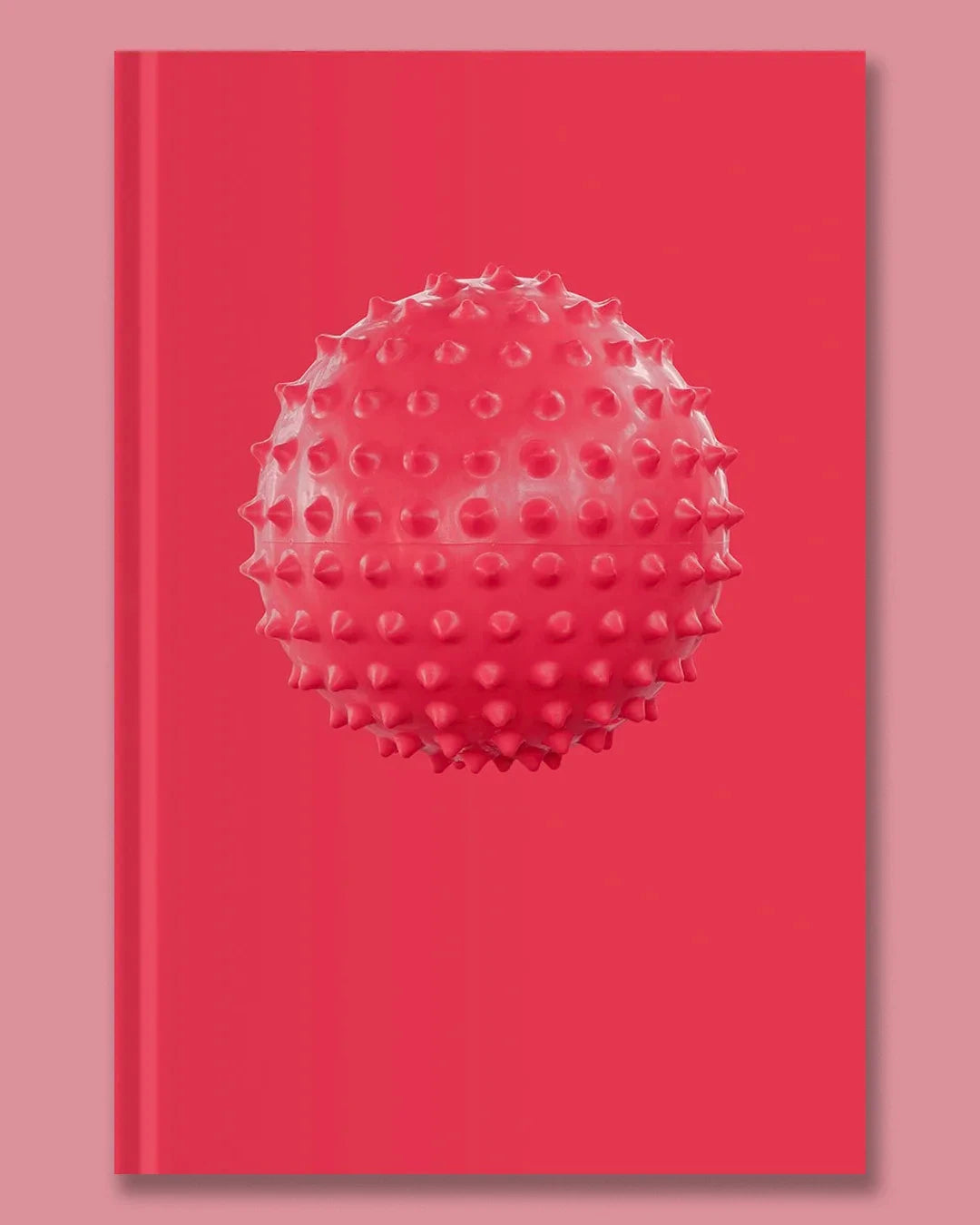 VFMK_KunstraumDornbirn-SophieHirsch-Cover.webp