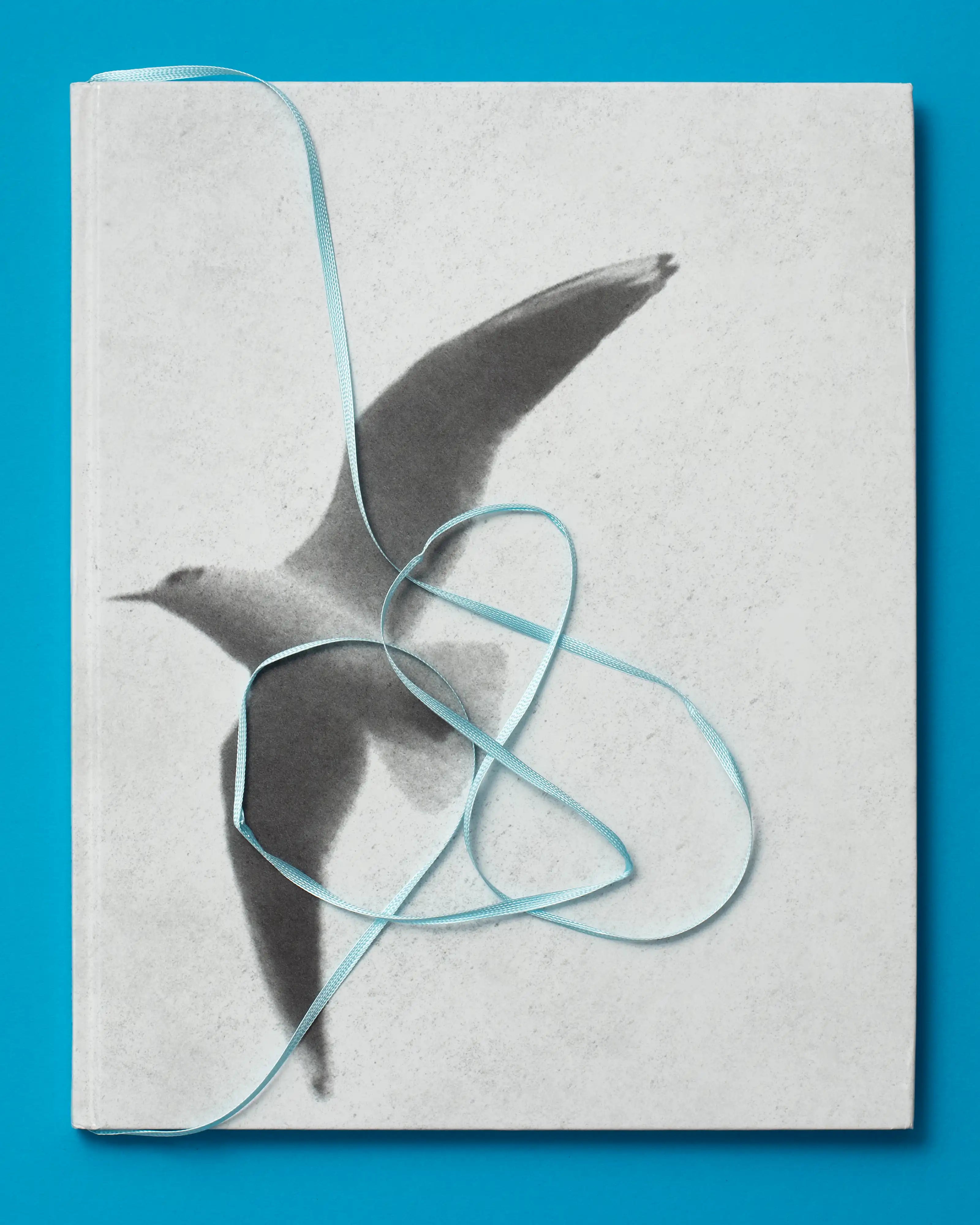 VFMK_Martin-Walde_Luftlinie_COVER-02.webp