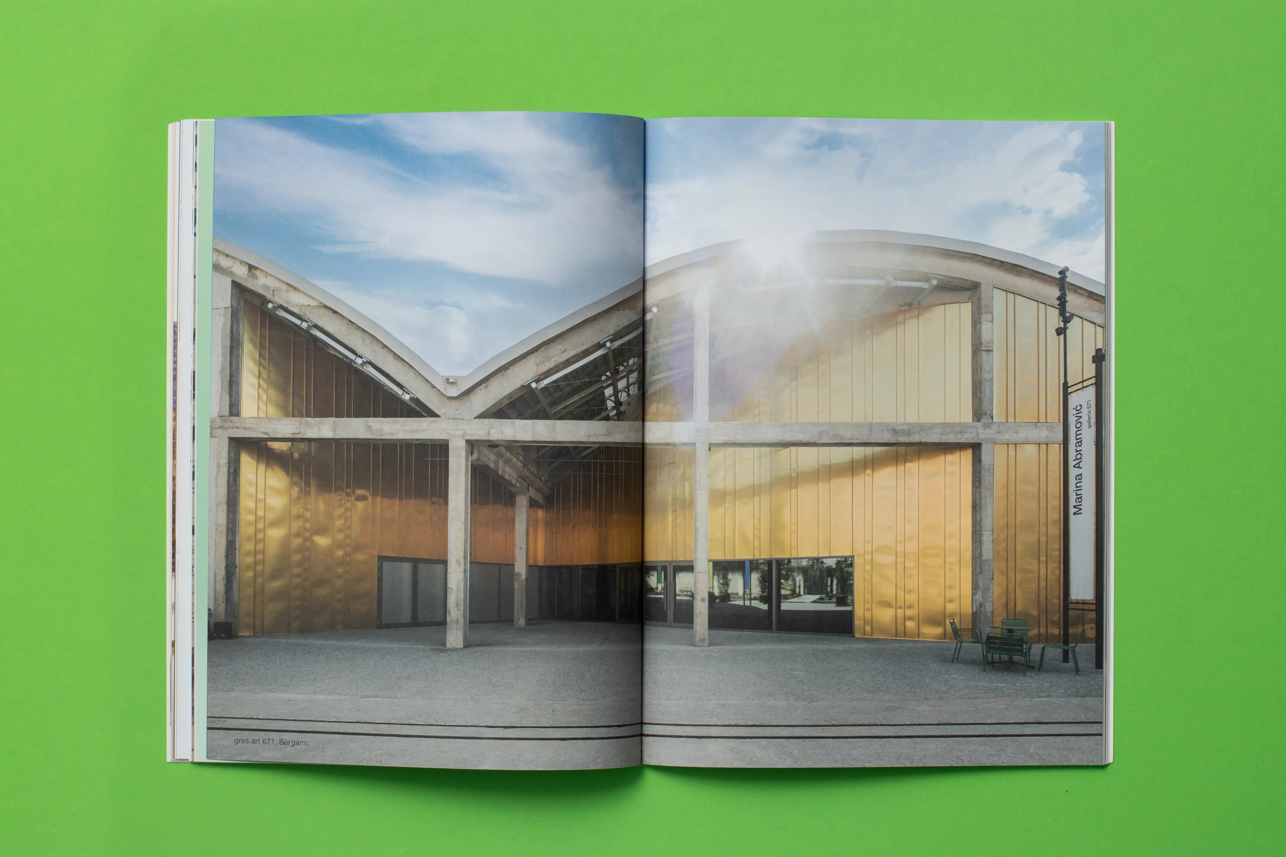 NEXT GENERATION ART COLLECTOR REPORT - Volume 2