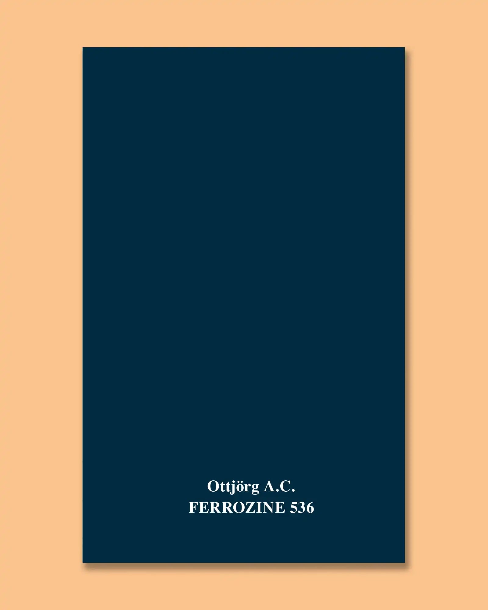 VFMK_Ottjoerg_COVER.webp