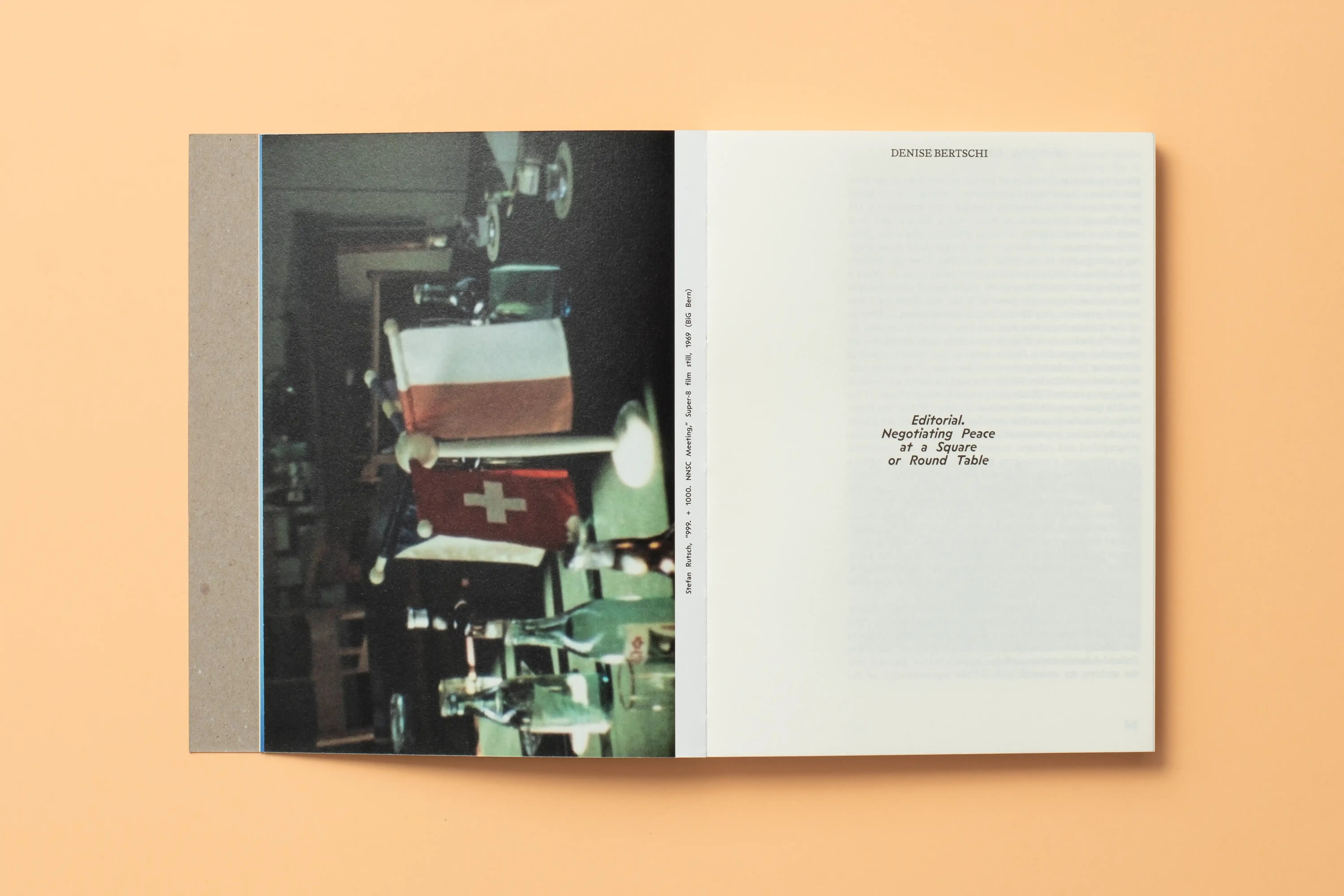 Denise Bertschi State Fictions 12 13
