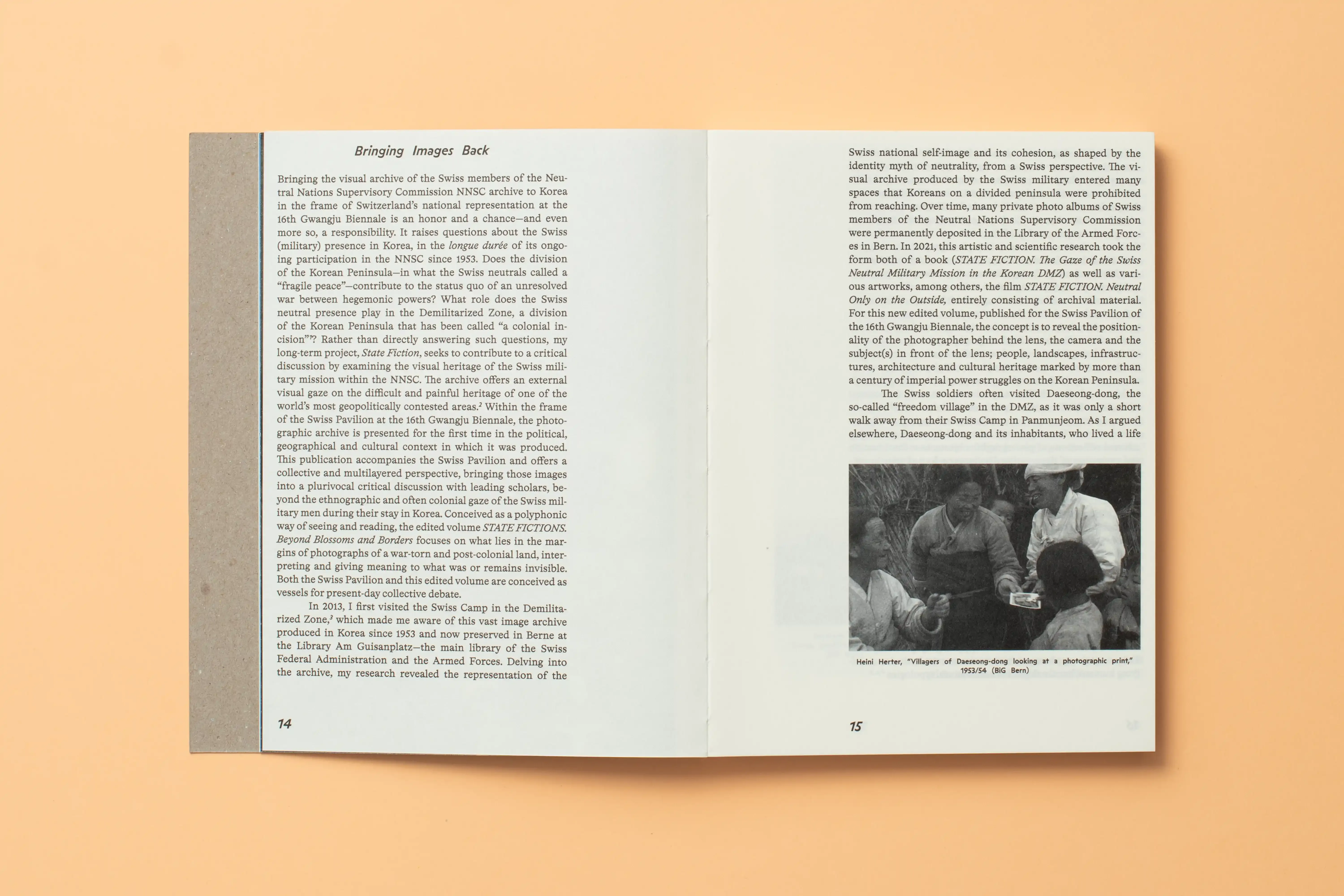 Denise Bertschi State Fictions 14 15