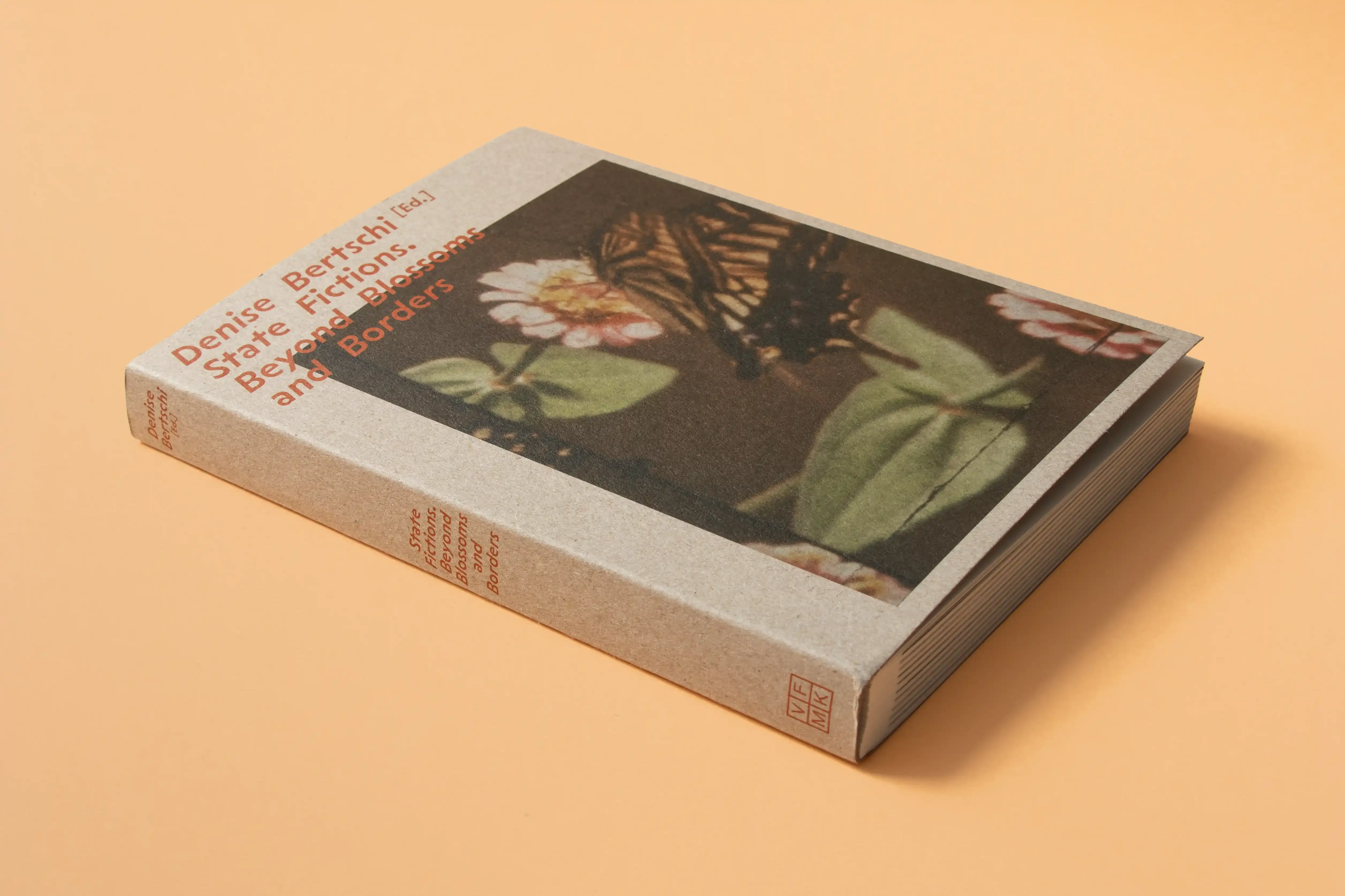 Denise Bertschi State Fictions 3 D COVER