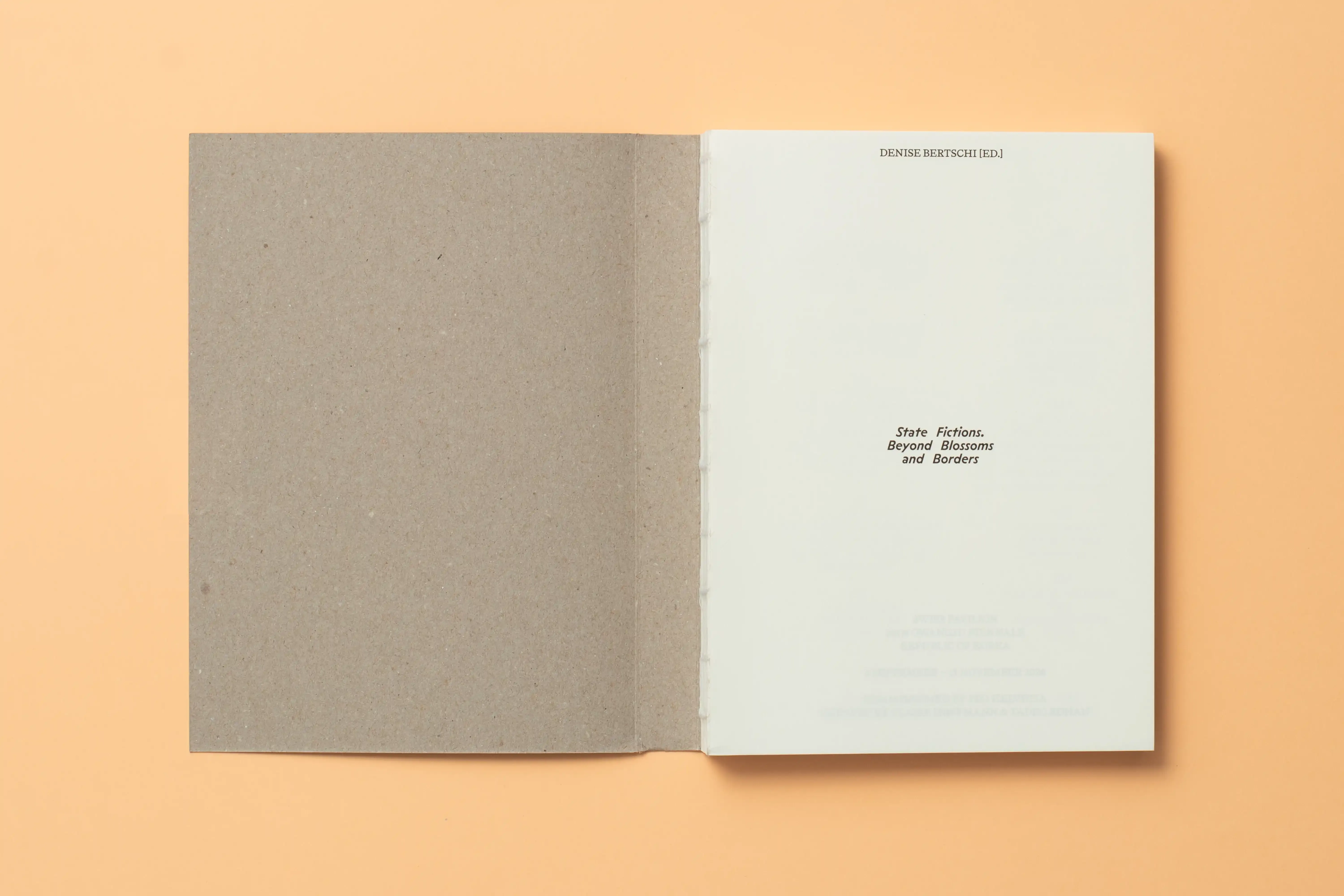 Denise Bertschi State Fictions 4 5