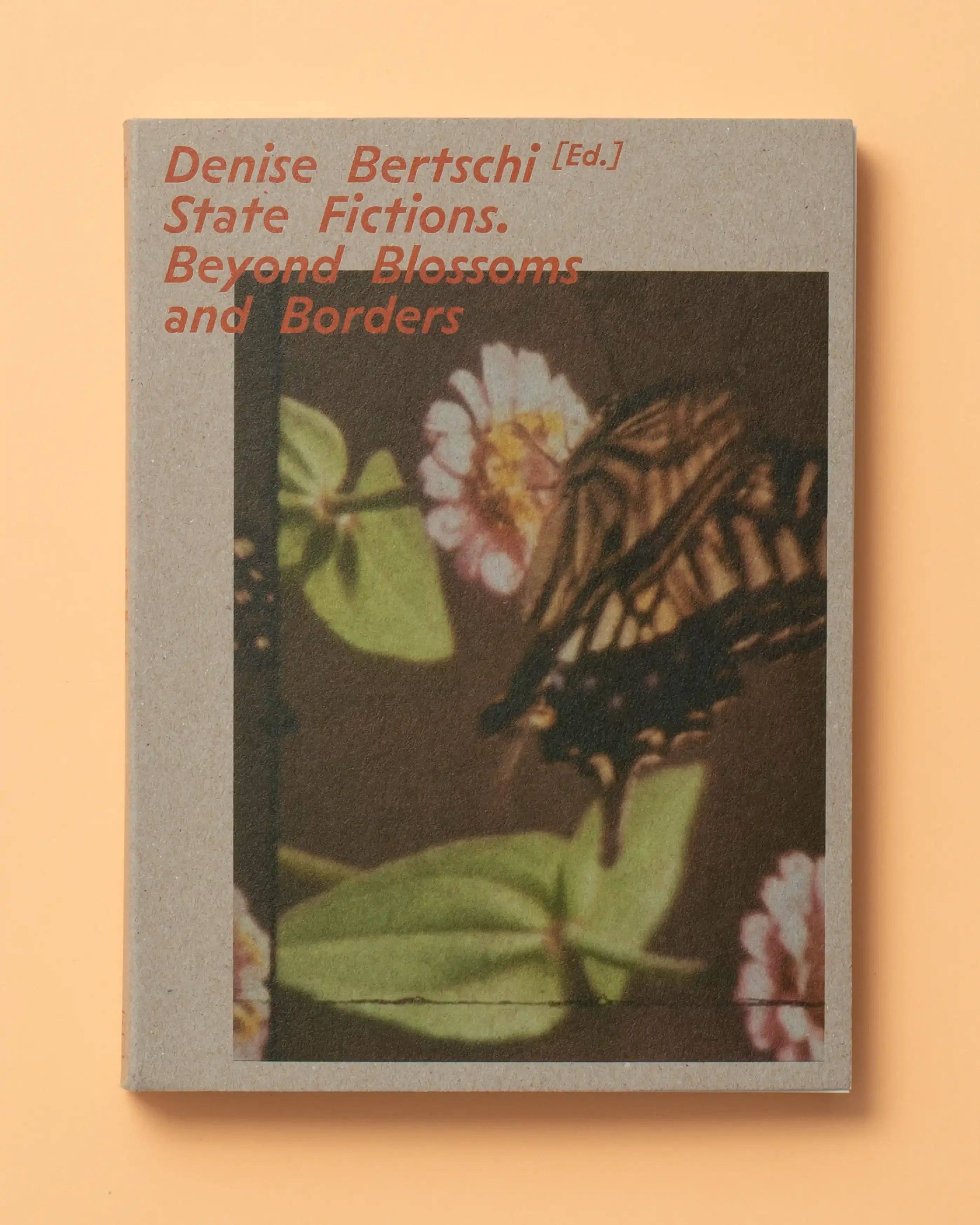 Denise Bertschi State Fictions COVER