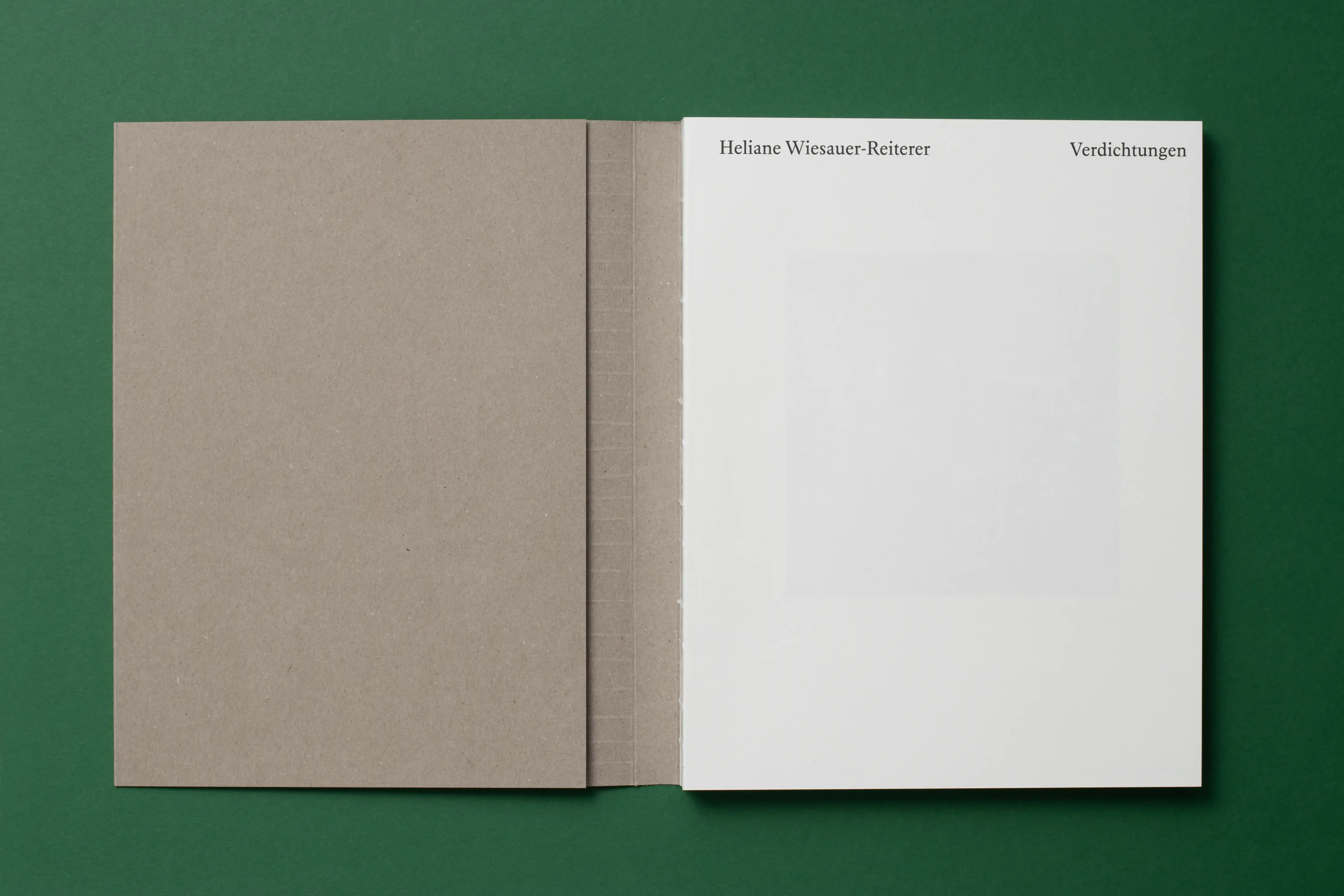 Heliane Wiesauer Reiterer 1