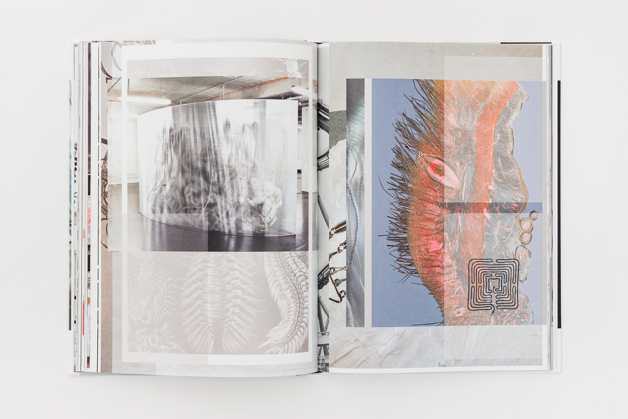 Sophie Hirsch FRANKIE 15web