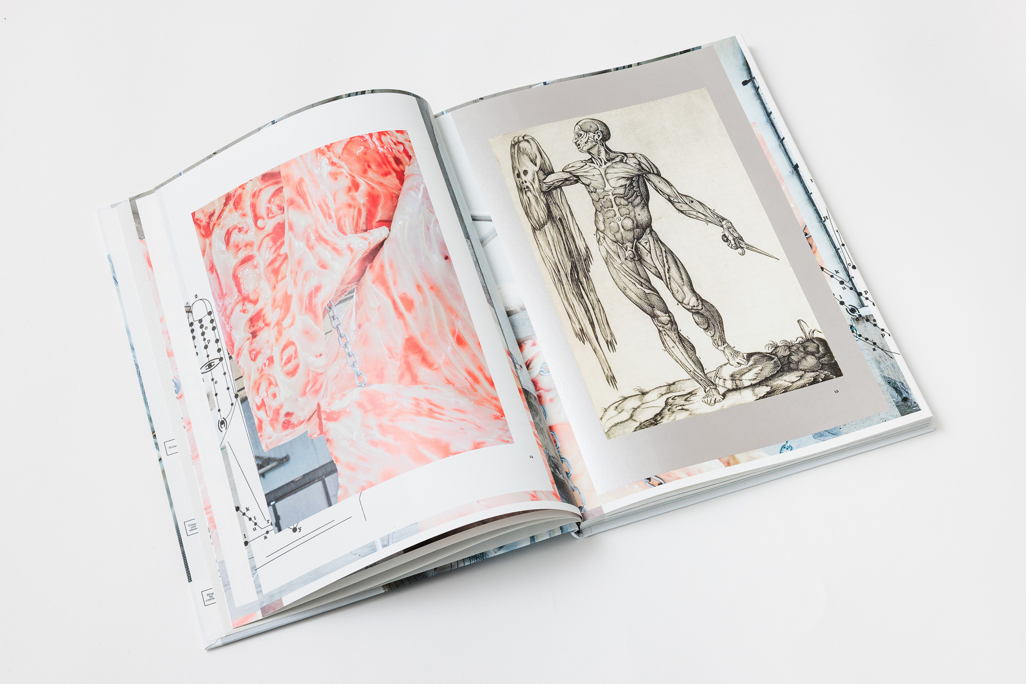 Sophie Hirsch FRANKIE 6web