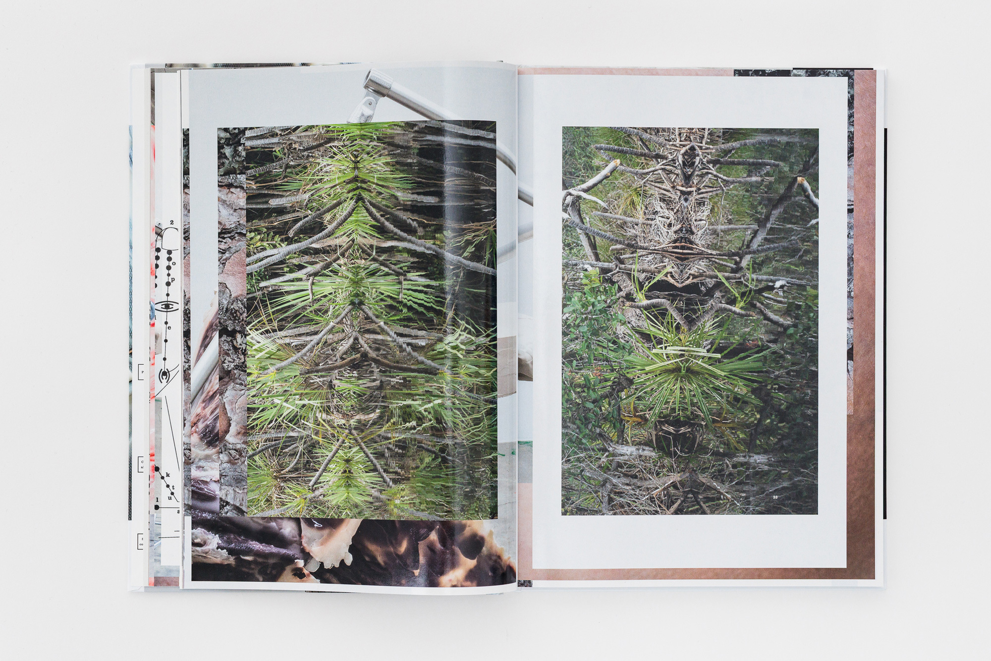 Sophie Hirsch FRANKIE 7web