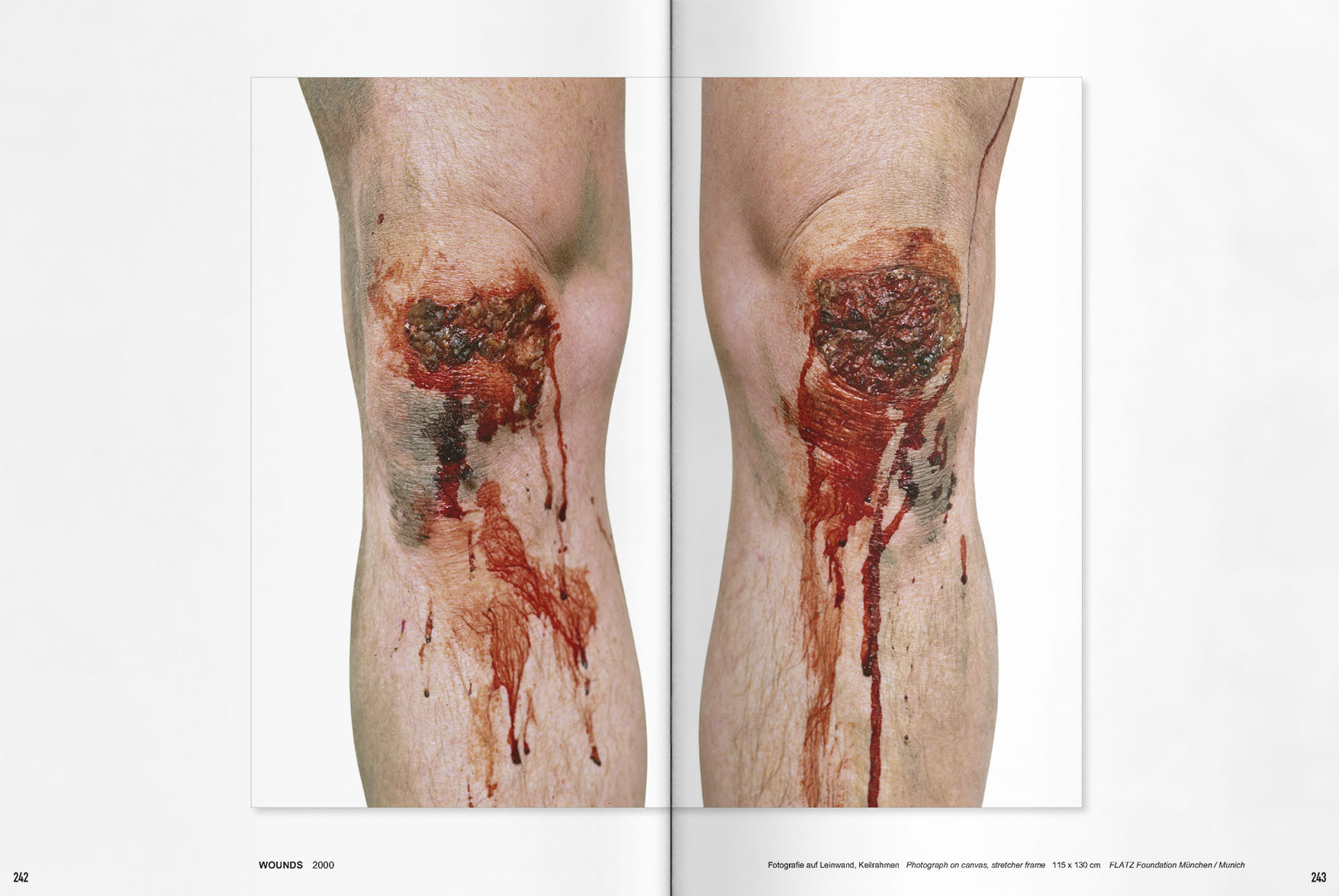 VFMK FLATZ Band 3 Bilder IN07