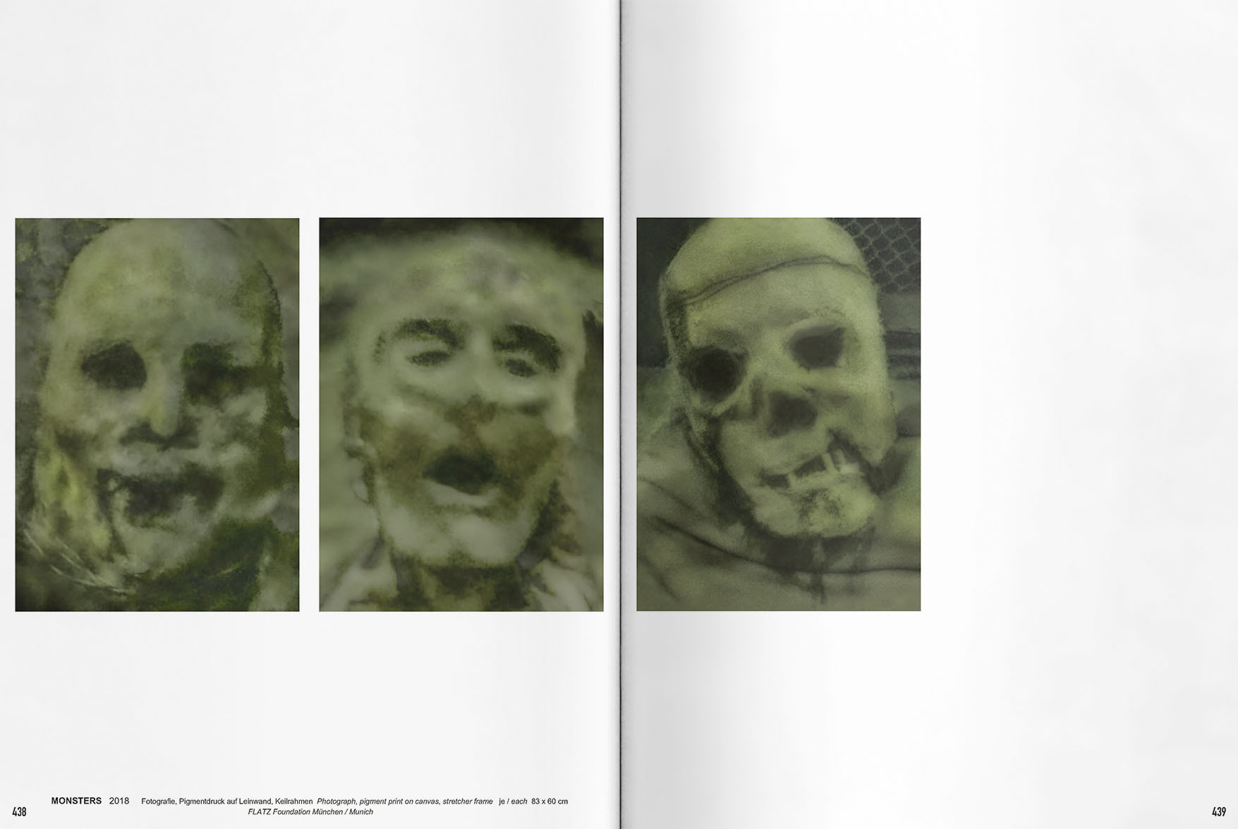 VFMK FLATZ Band 3 Bilder IN08