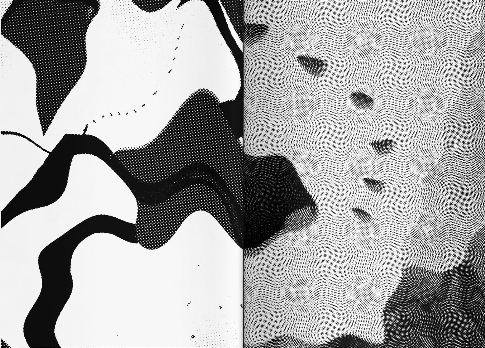 VFMK Nevin Aladag Vibrating Images IN02