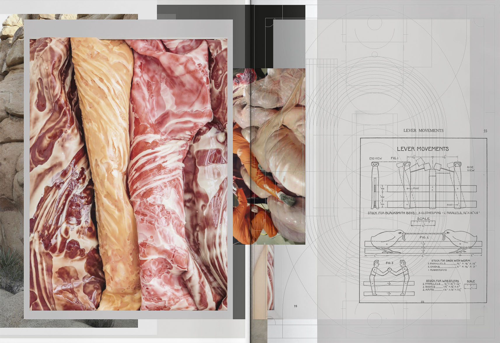 VFMK Sophie Hirsch FRANKIE IN02