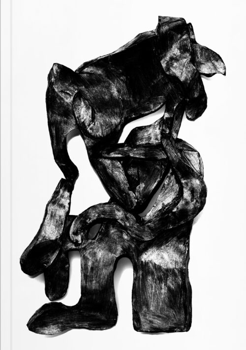 Simone Holliger Cover