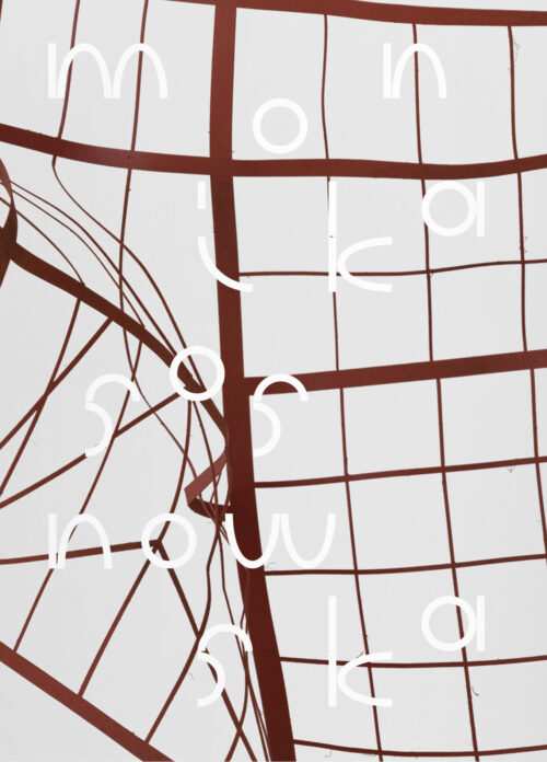 Sosnowska Cover Models