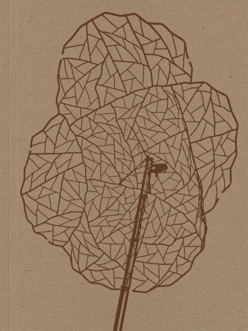 VFMK Alois Schild Illusionsreserven Cover web