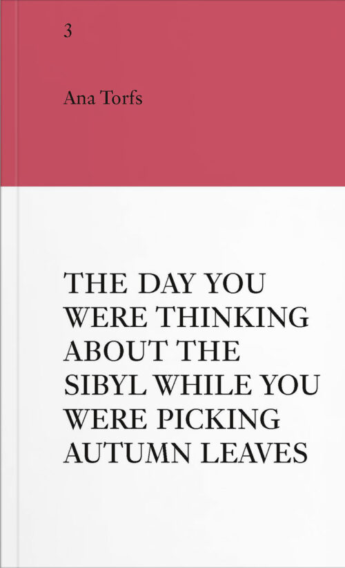 VFMK Gemaeldesammlung Ana Torfs Cover