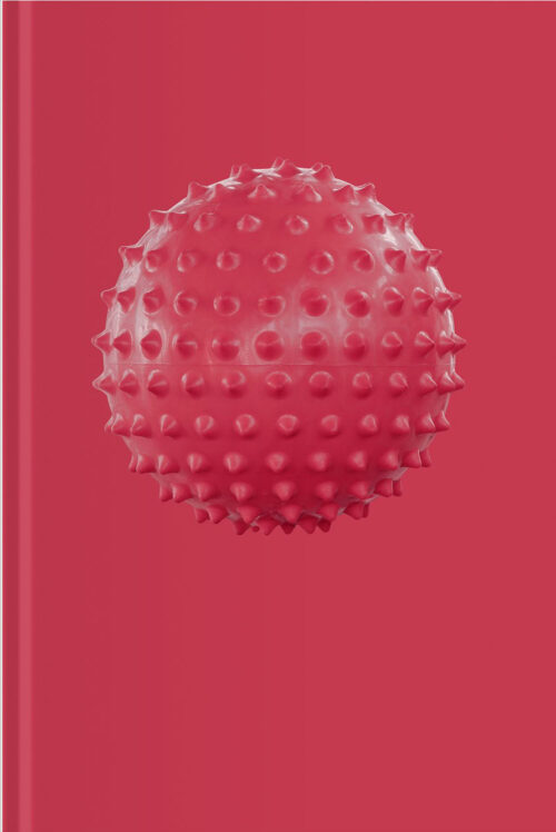 VFMK Kunstraum Dornbirn Sophie Hirsch Cover