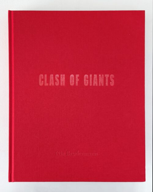 VFMK Nin Brudermann Cover