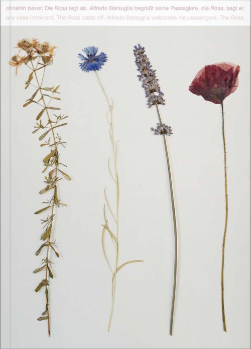 Alfredo barsuglia cover