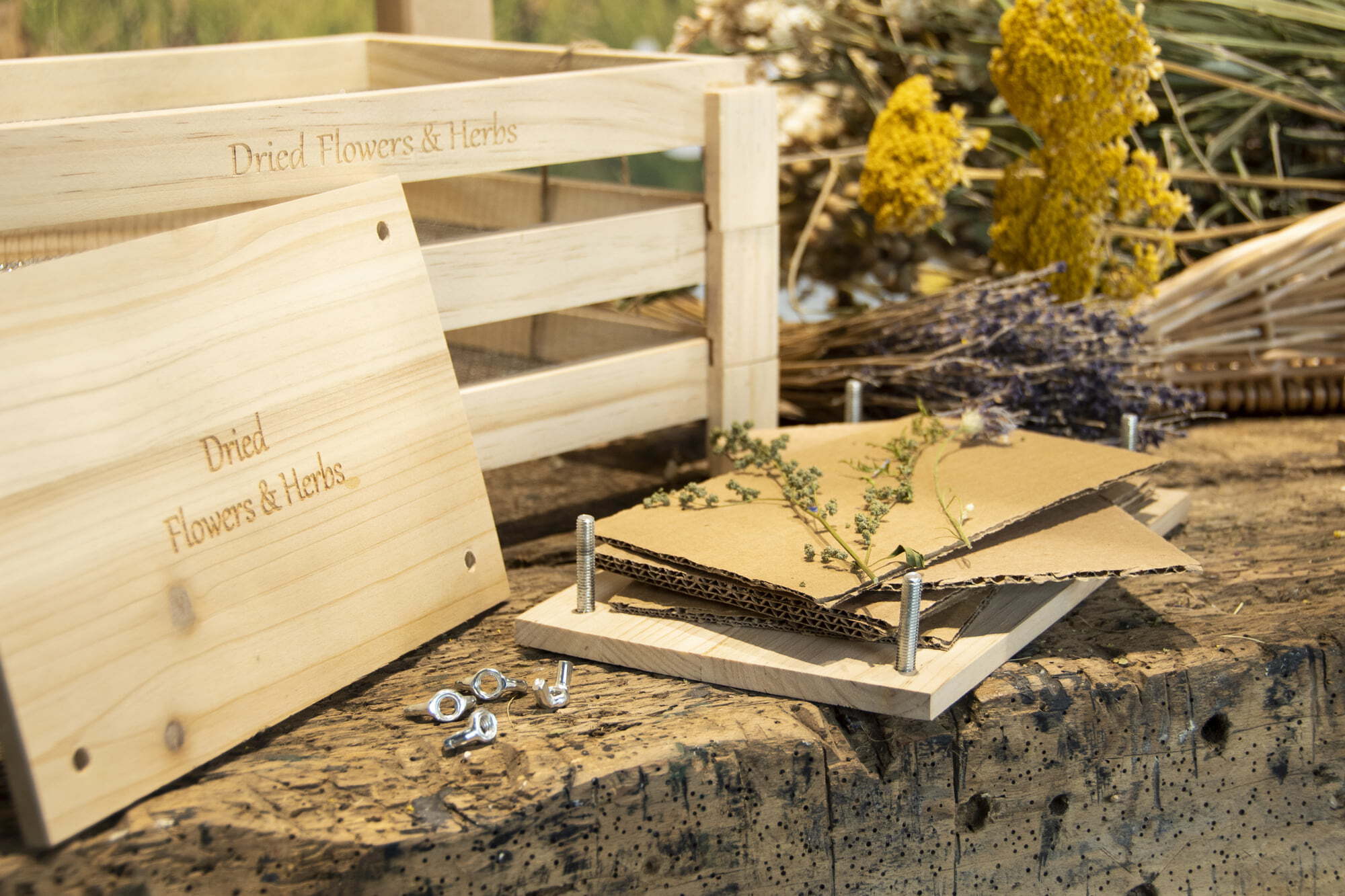 FH006 Blumen und Kräuterpresse 3