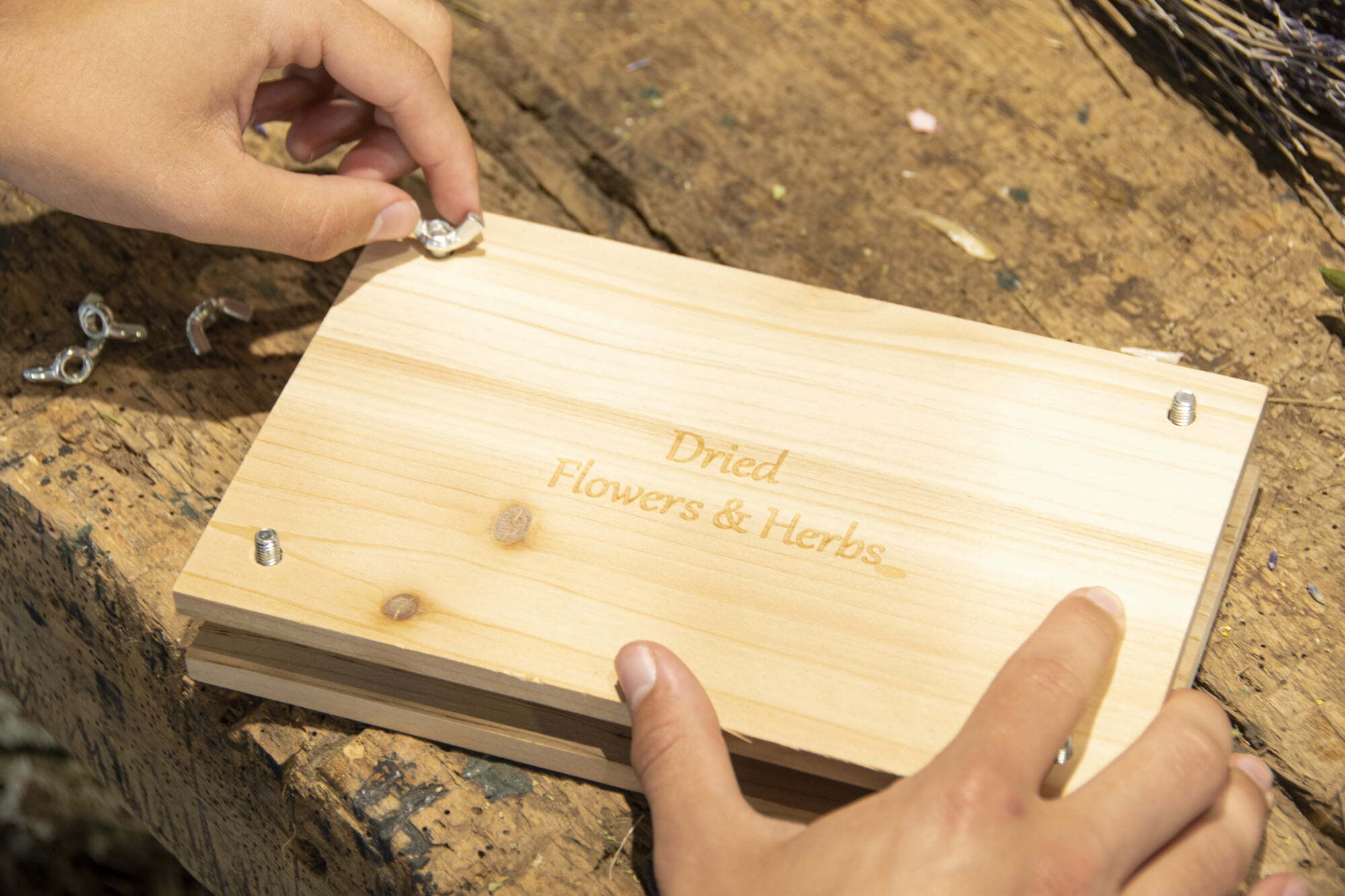 FH006 Blumen und Kräuterpresse 5