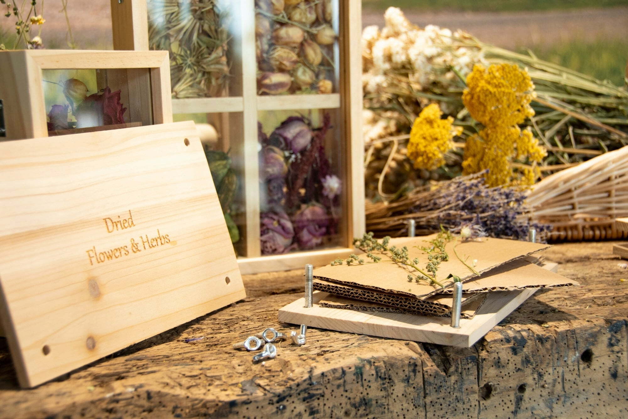 FH006 Blumen und Kräuterpresse 6