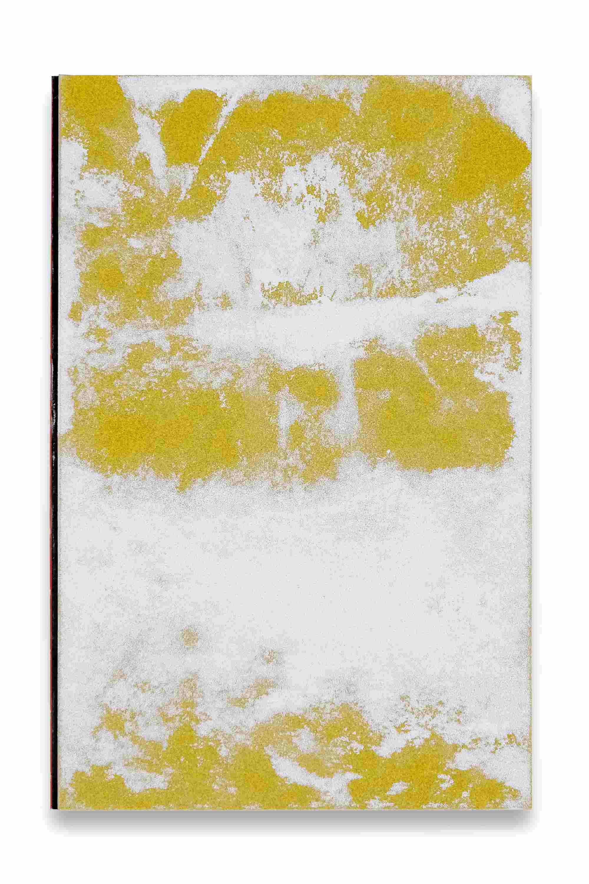 Wald Simon Fröhlich アートブック simon, kindle | VFMK Verlag für moderne Kunst
