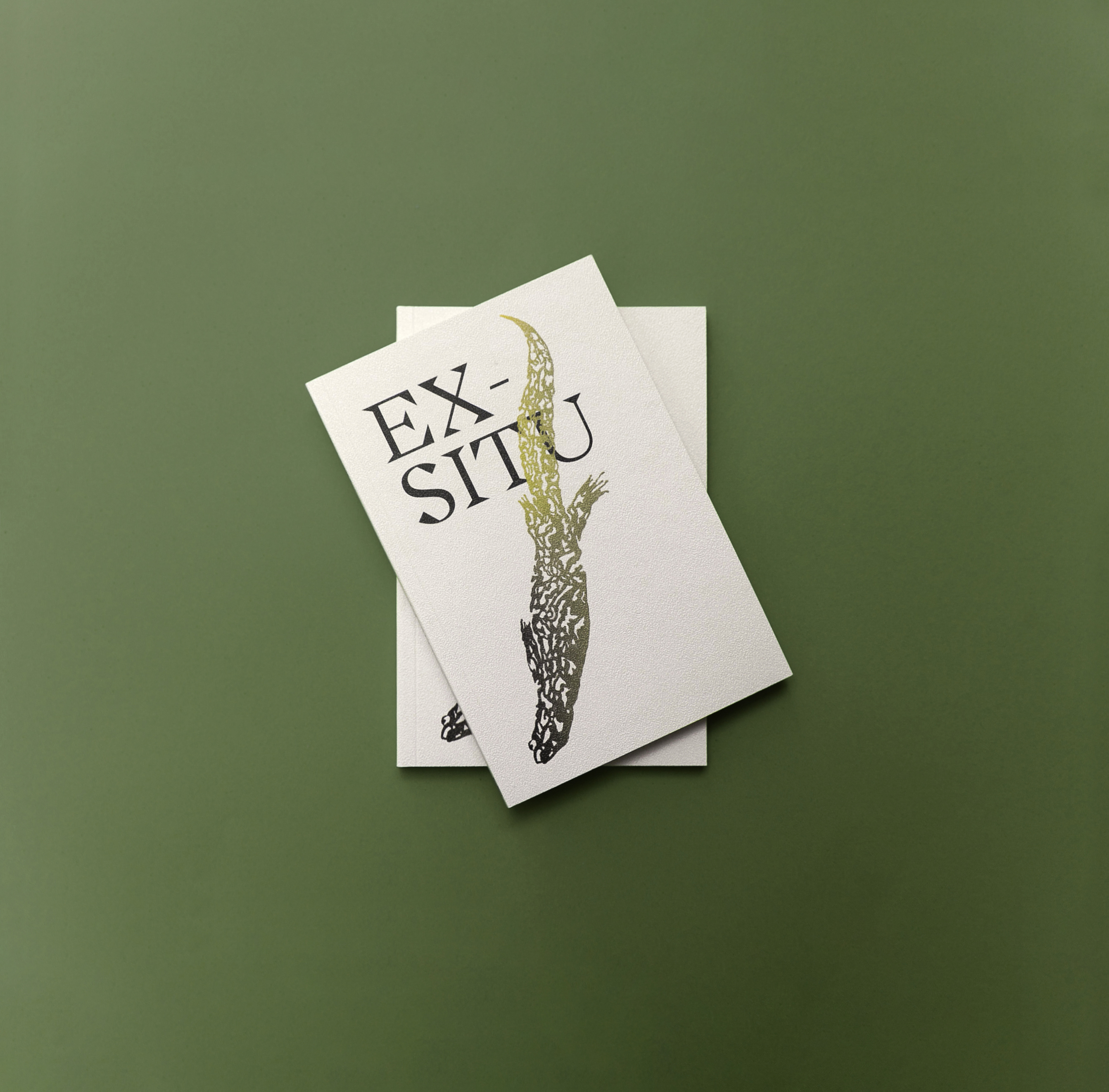 Photosbuchexsituinsitu c Margit Steidl 07