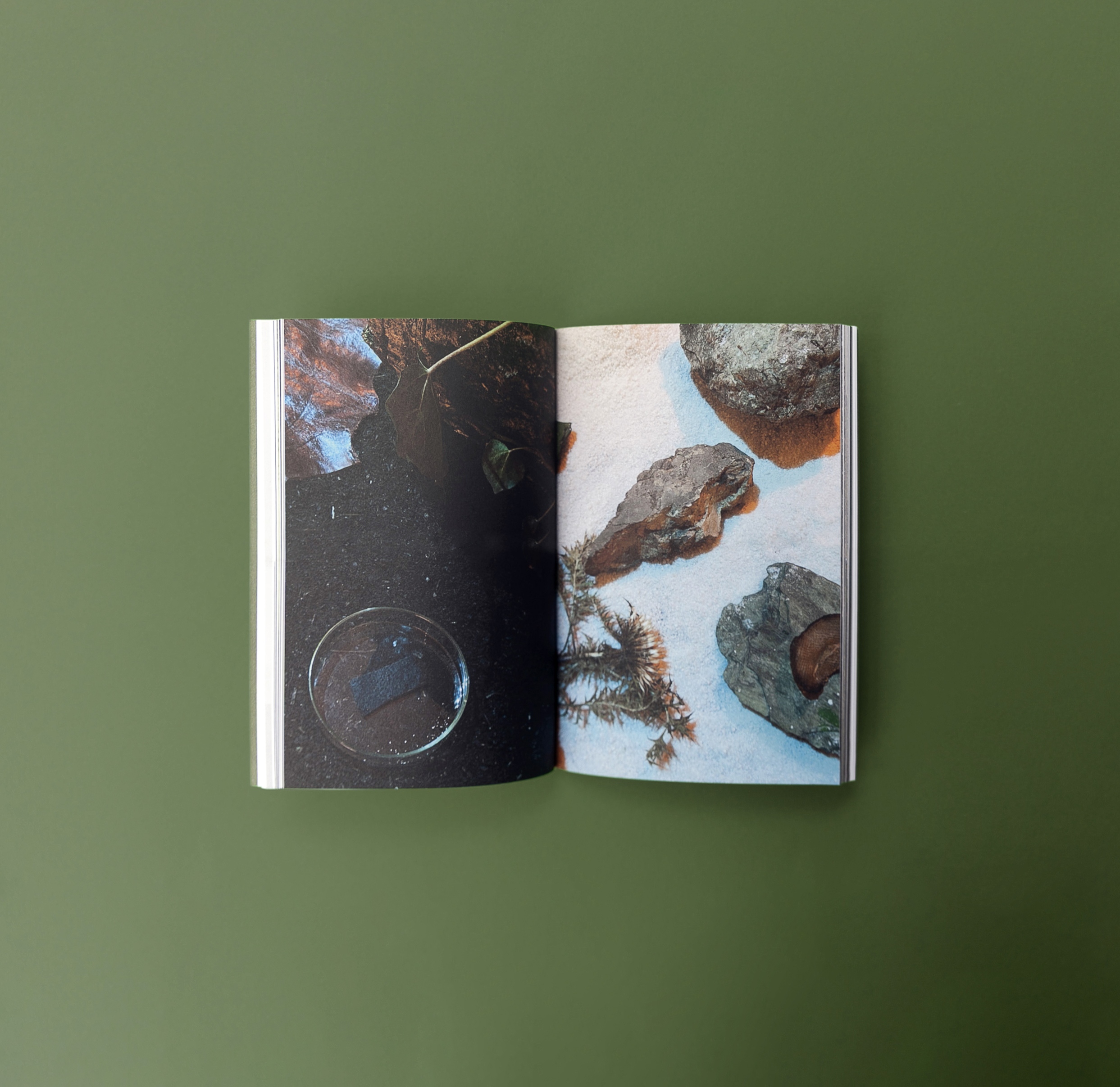 Photosbuchexsituinsitu c Margit Steidl 09