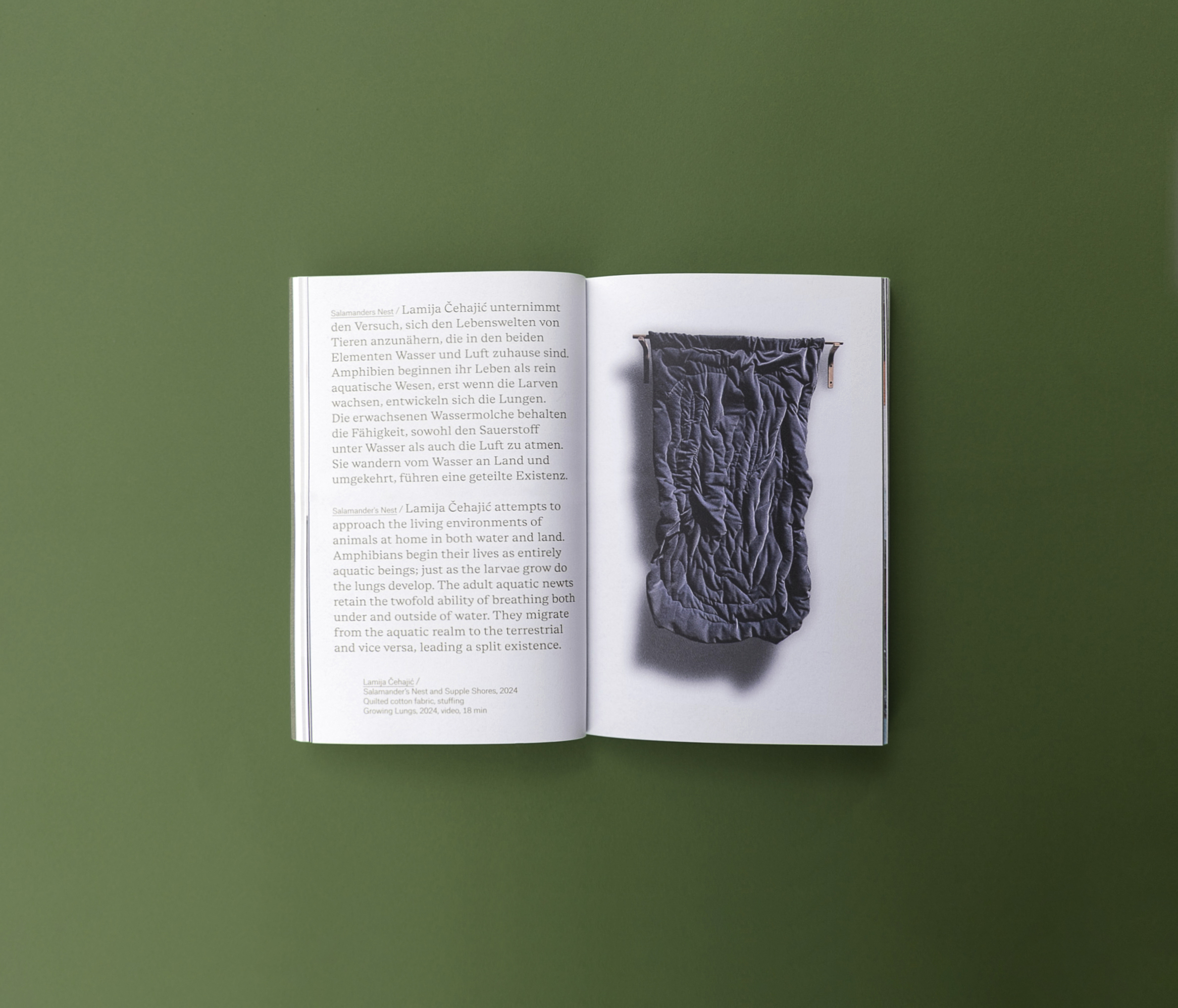 Photosbuchexsituinsitu c Margit Steidl 12