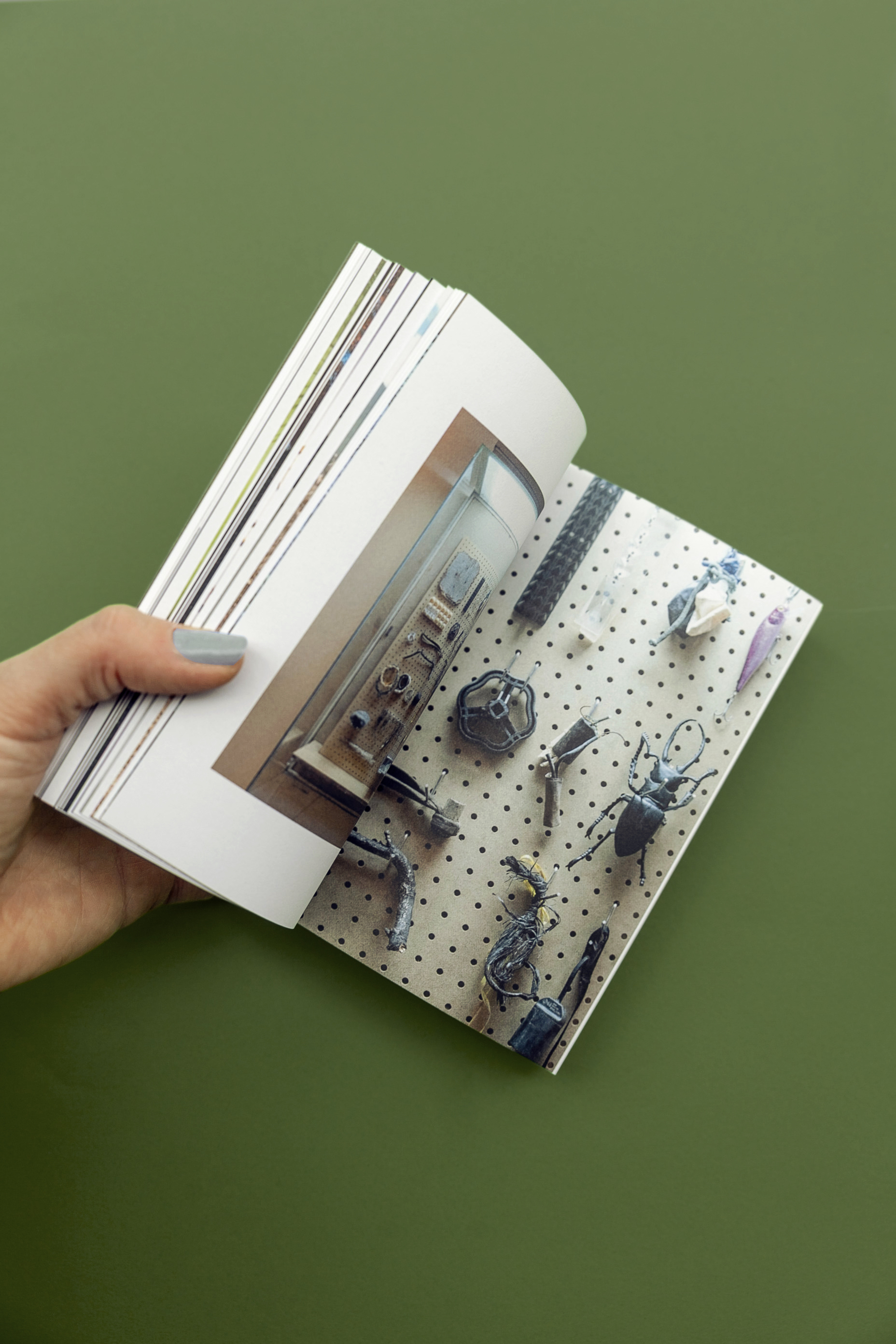 Photosbuchexsituinsitu c Margit Steidl 13