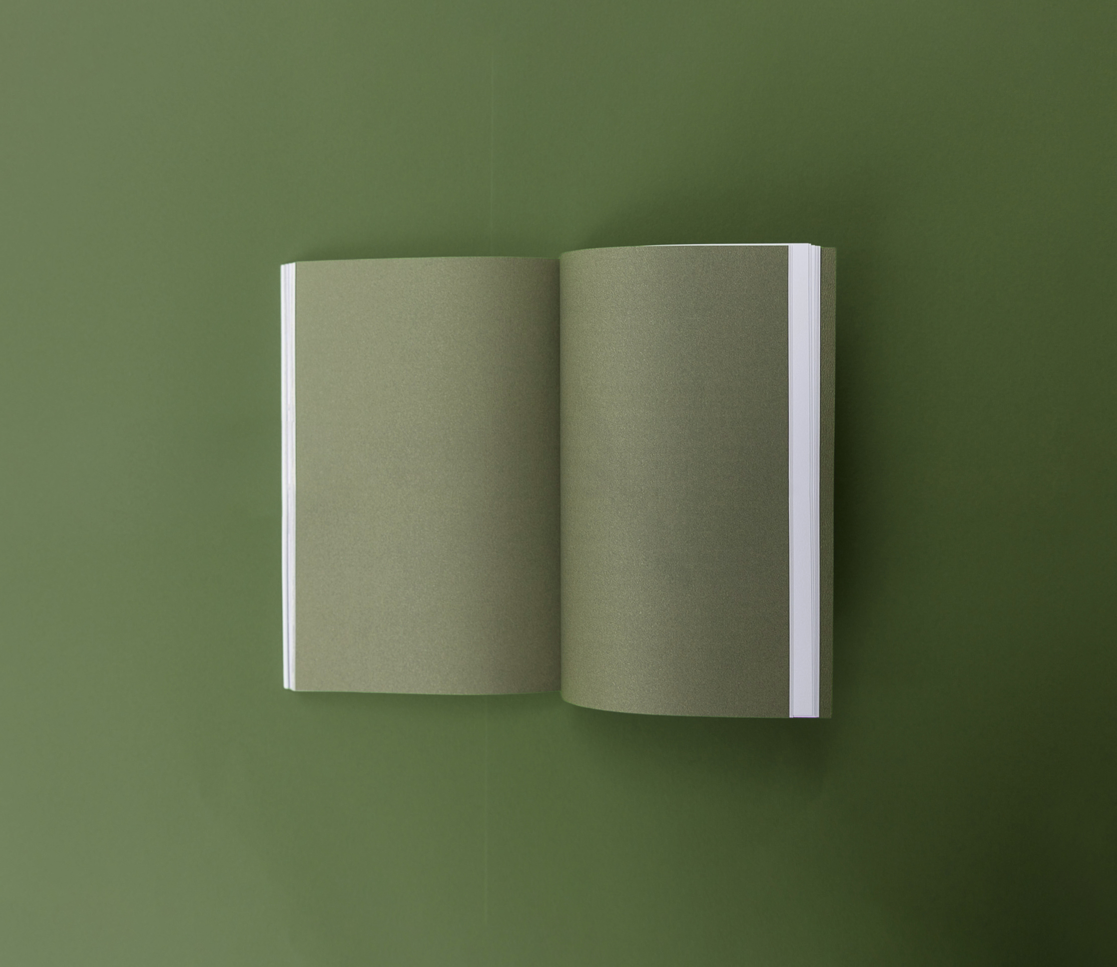 Photosbuchexsituinsitu c Margit Steidl 14