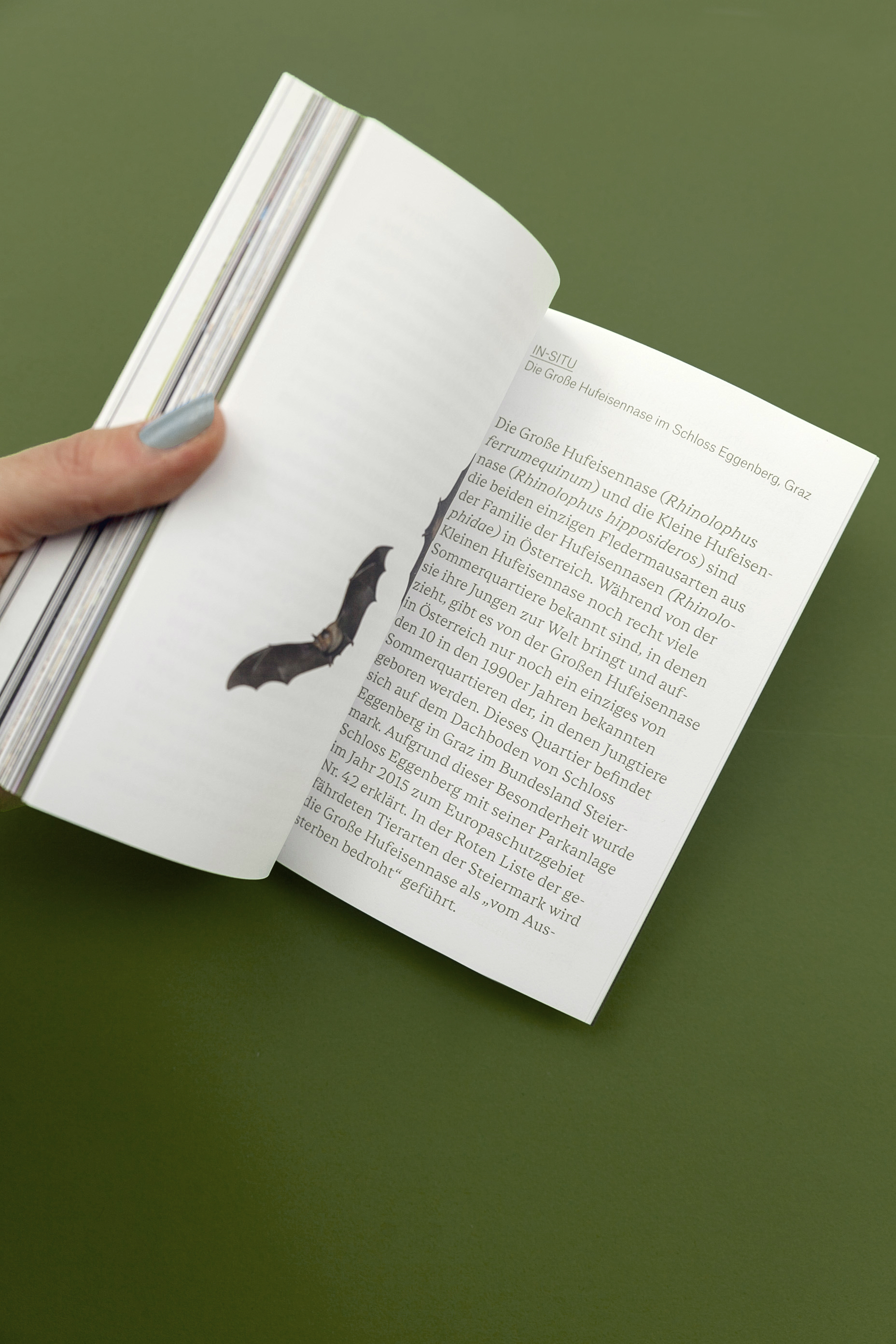 Photosbuchexsituinsitu c Margit Steidl 15