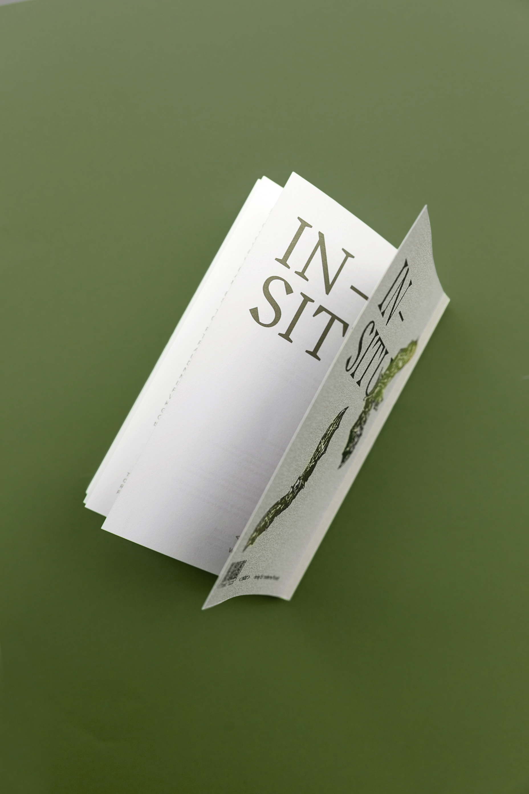 Photosbuchexsituinsitu c Margit Steidl 16