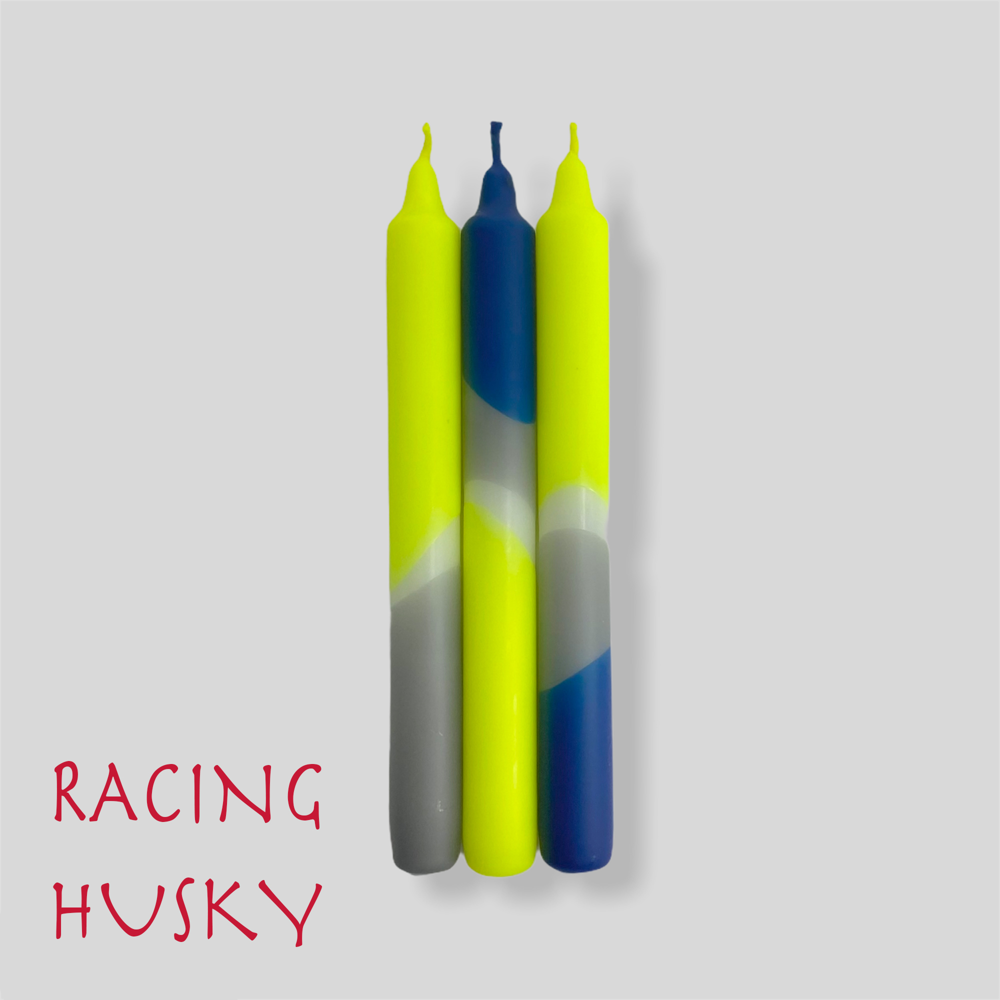 Web racing hasky new